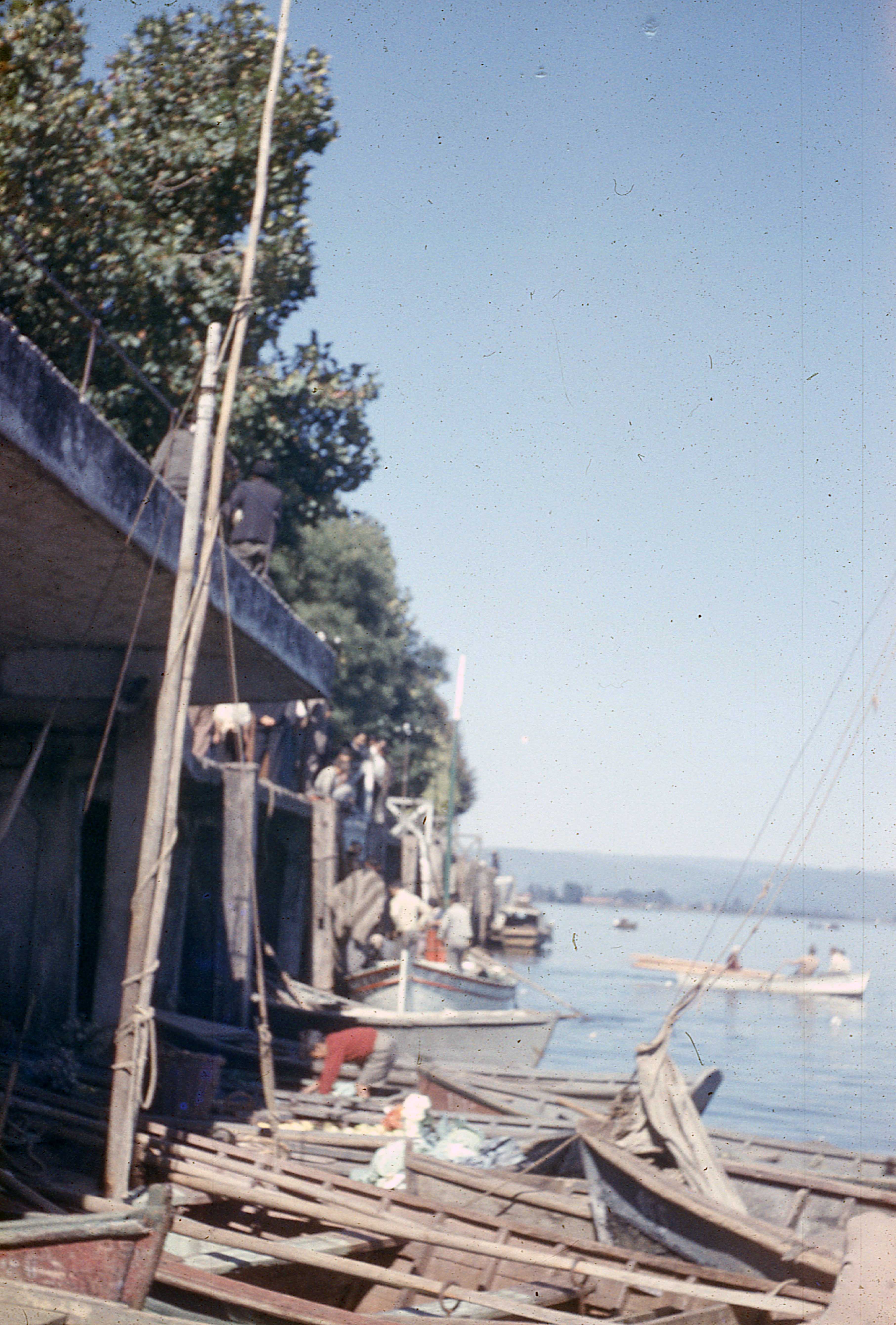 Muelle Fluvial de Valdivia, 1960