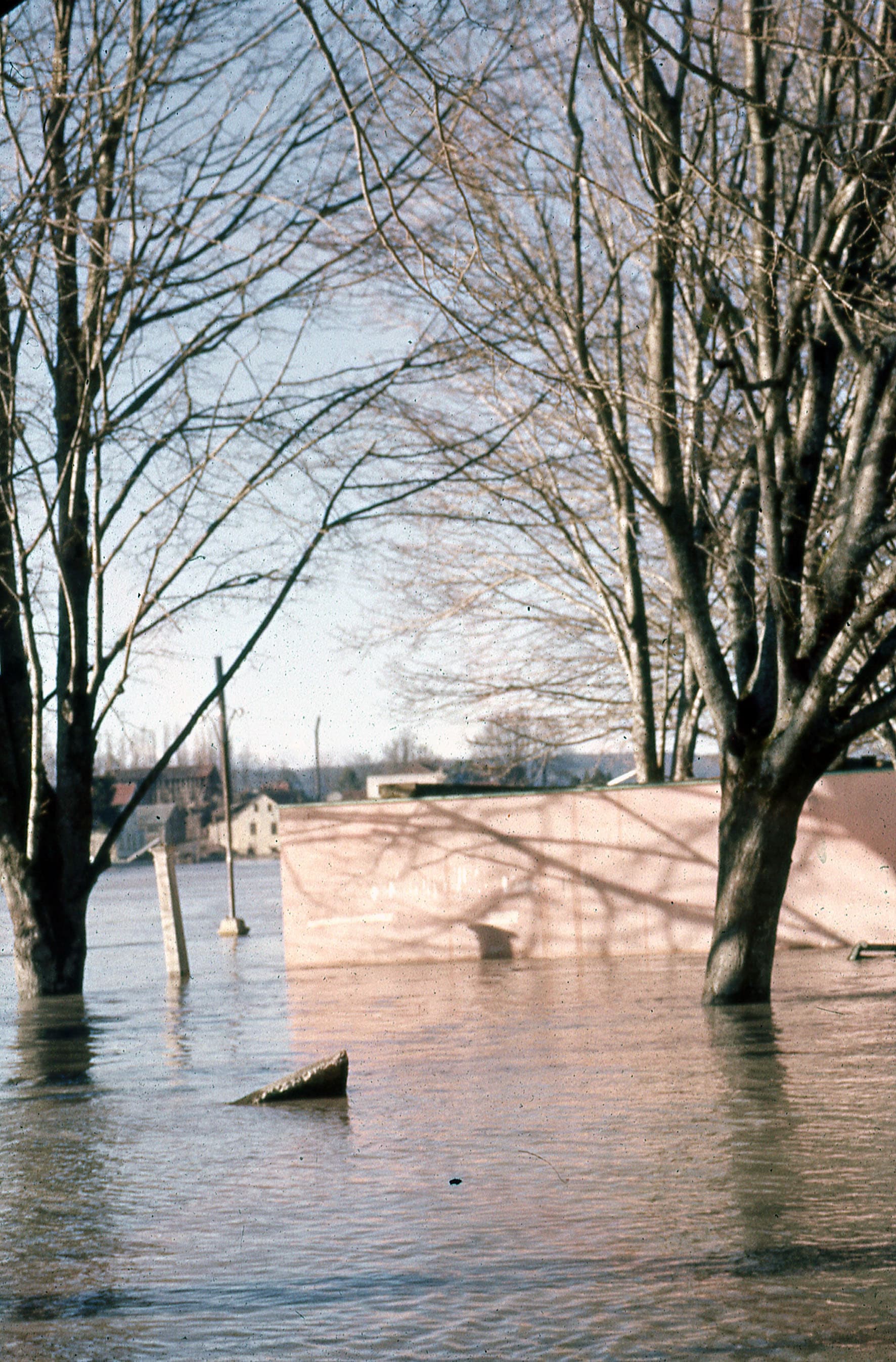 Daños del Terremoto, Valdivia, 1960