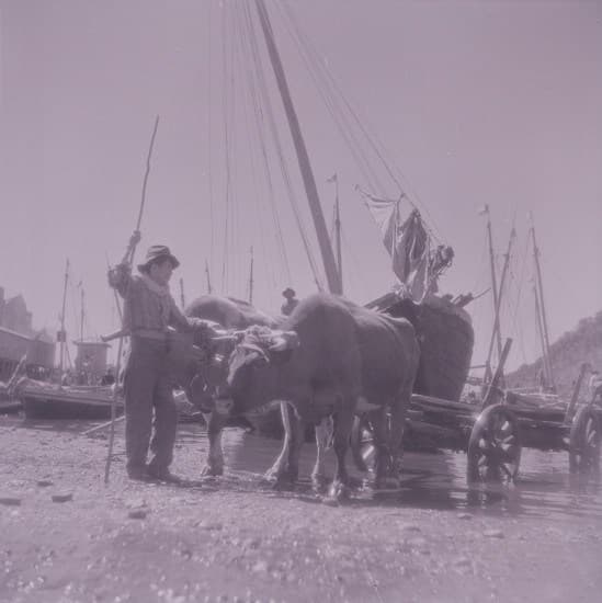 Caleta Angelmó en los 40s