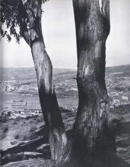 Vista Valparaiso 1959