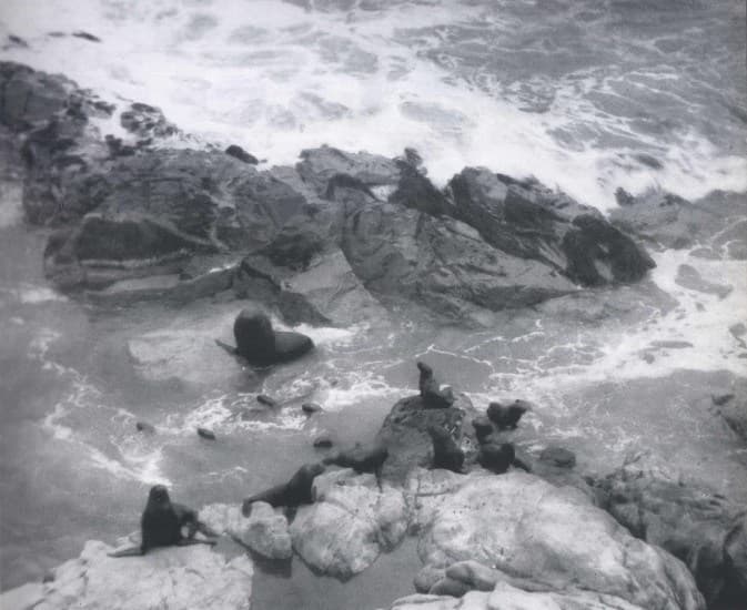 Isla Alacran 1959 Arica