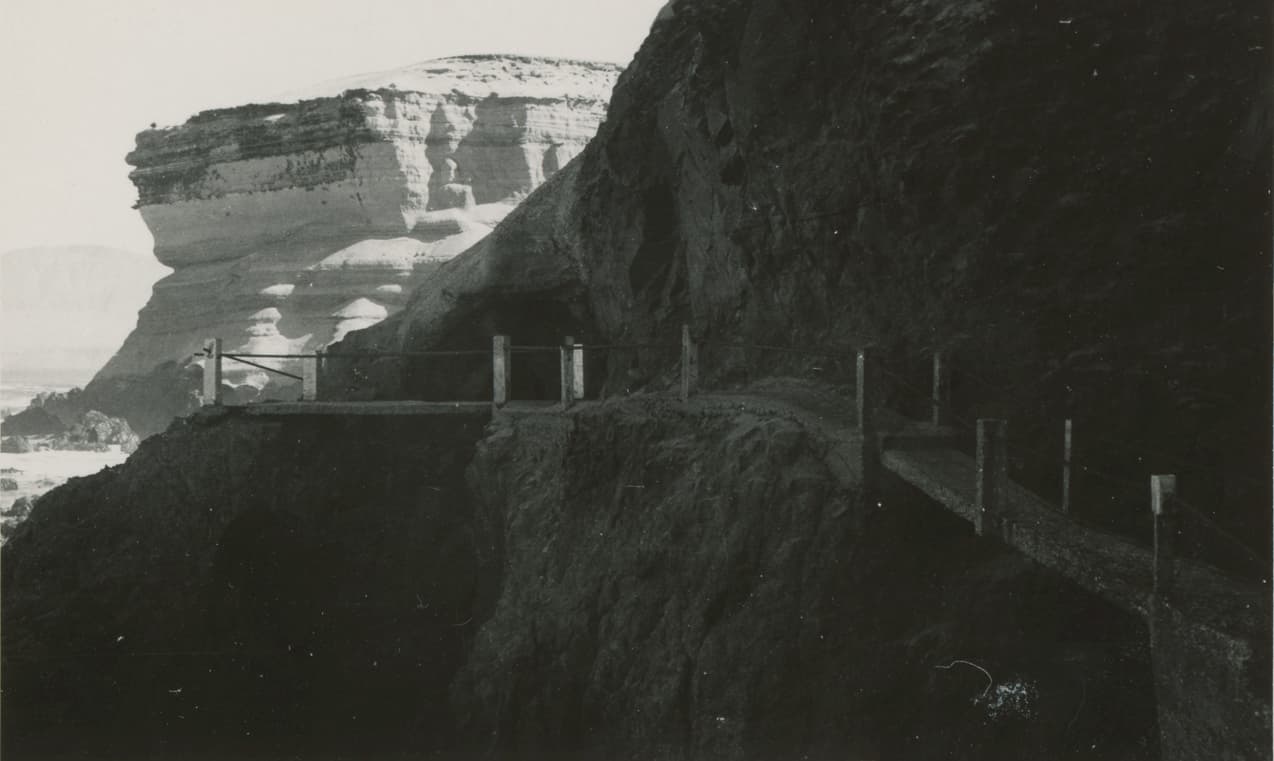 Farellones costeros de Antofagasta en 1950
