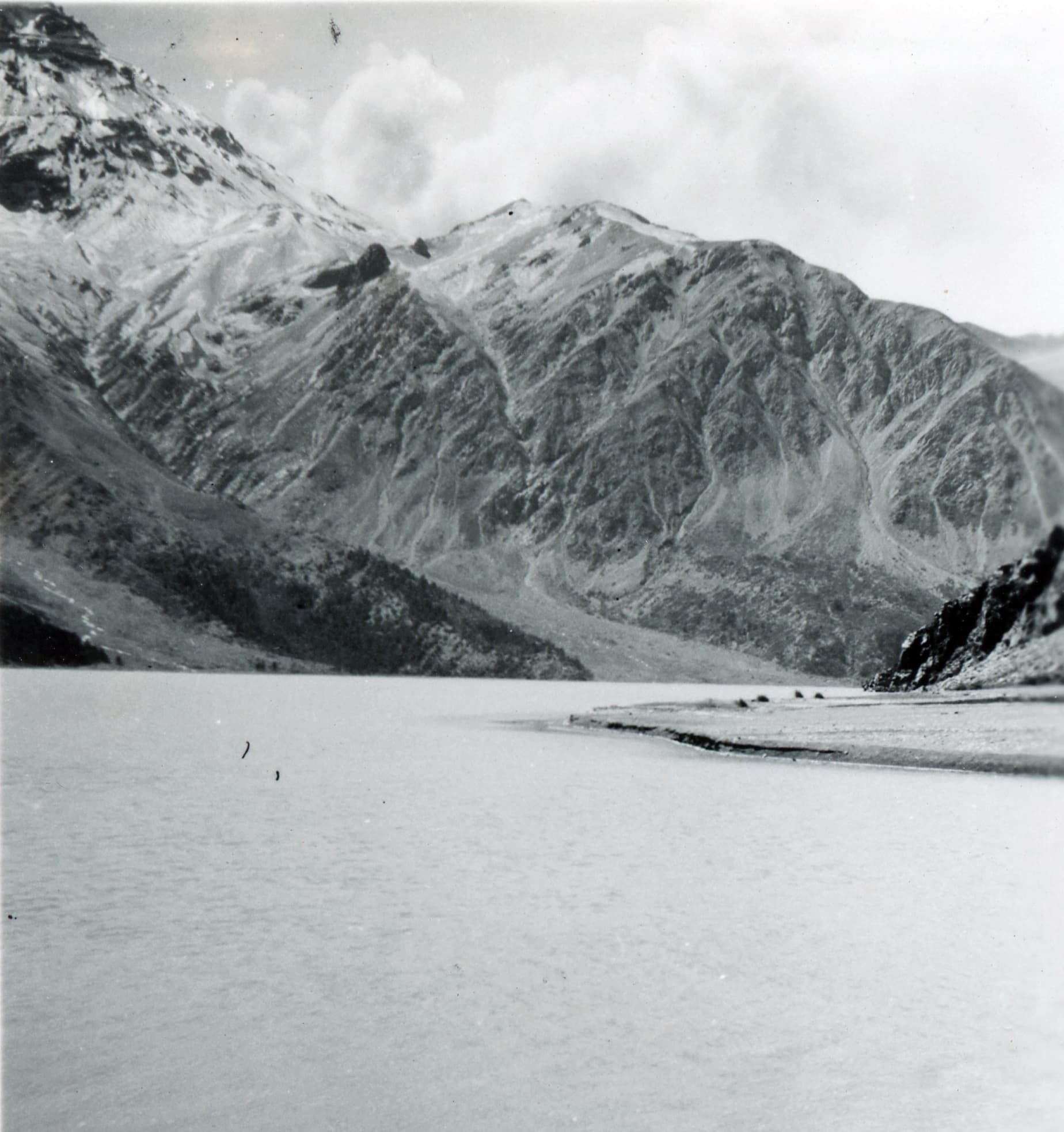 Reserva Los Cipreses, Machalí, en 1949