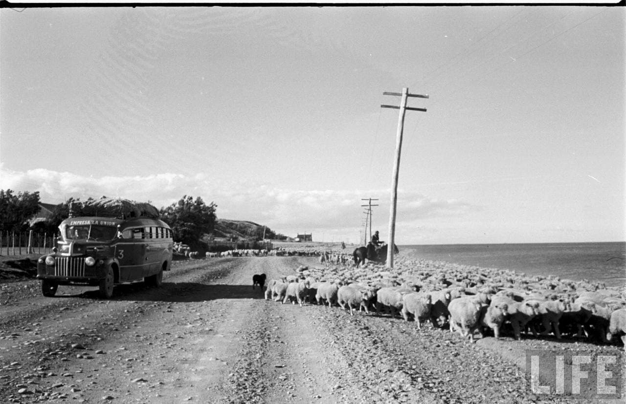 Cercanías de Puerto Natales en 1950