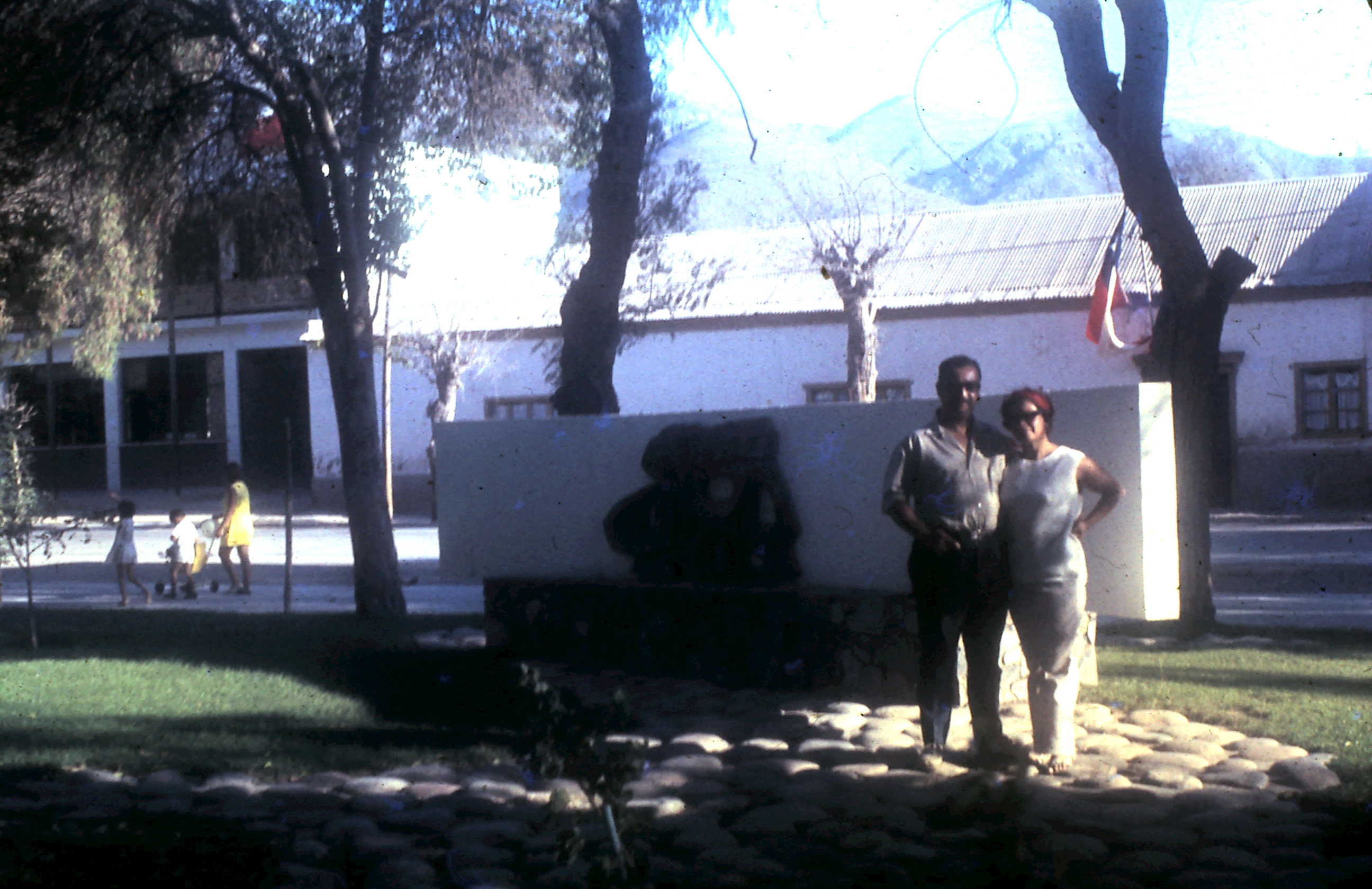 Pareja en Vicuña, 1972
