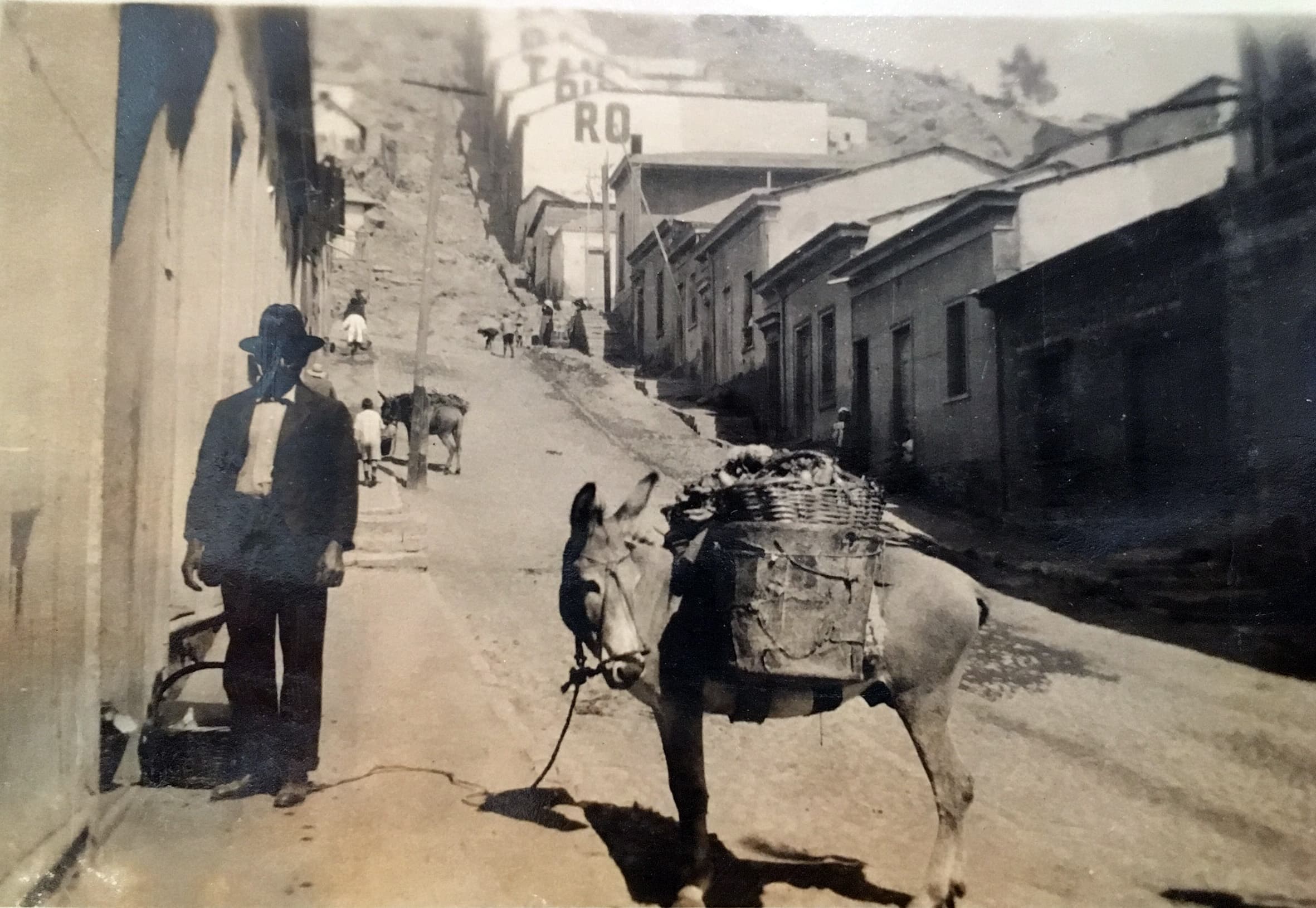 Burro en calle Freire, Coquimbo, Chile, 1918