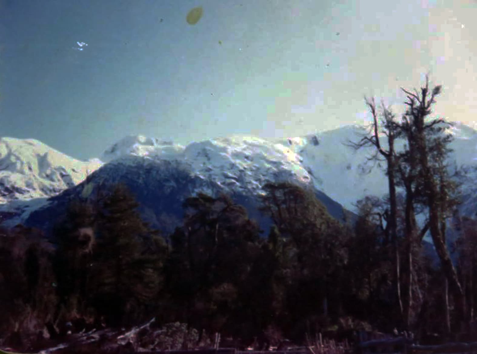 Cordón  Michimahuida Lago Yelcho, 1980