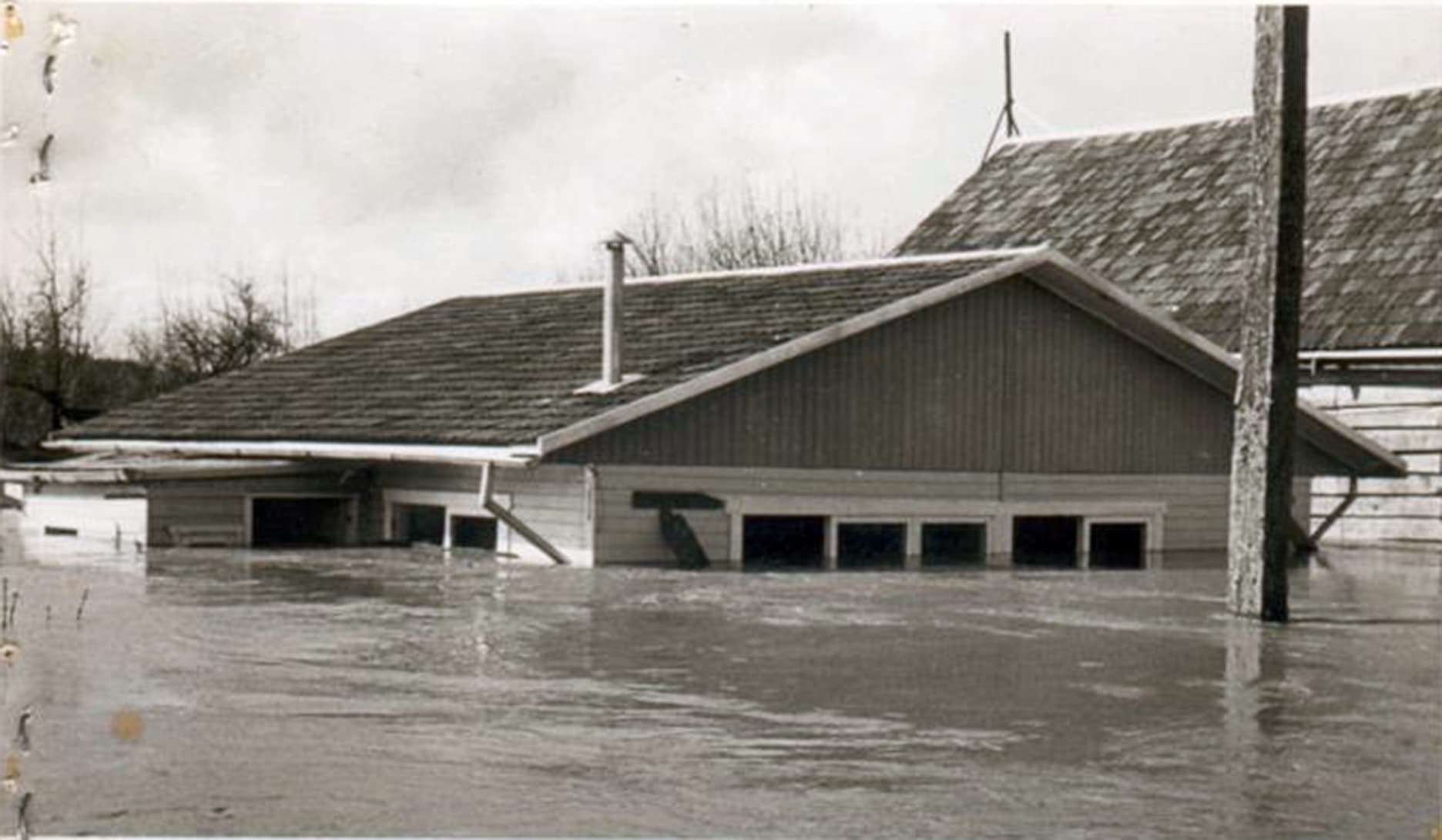 Riñihuazo en 1960