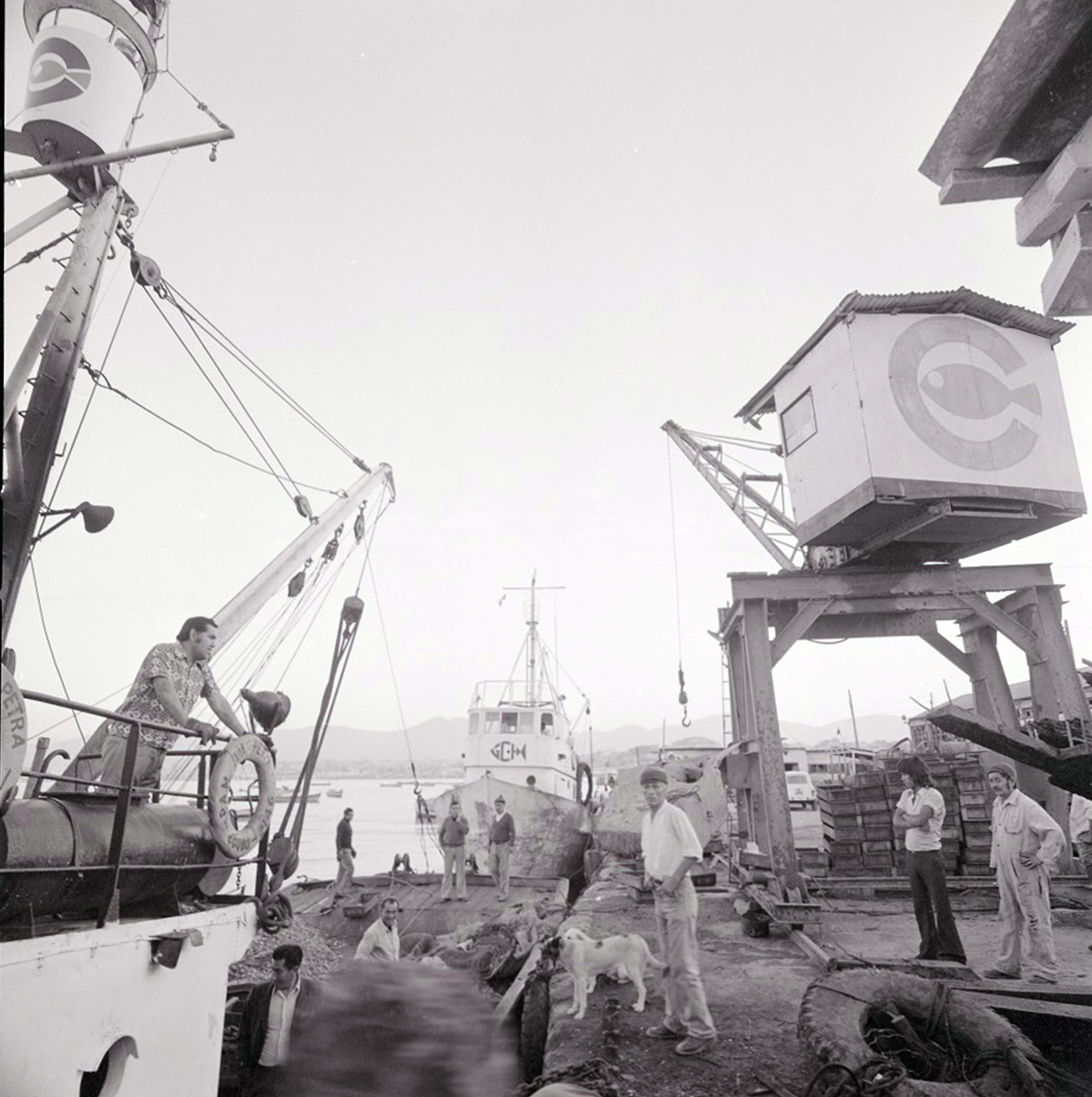 Descarga de mariscos en el puerto de Coquimbo, 1976
