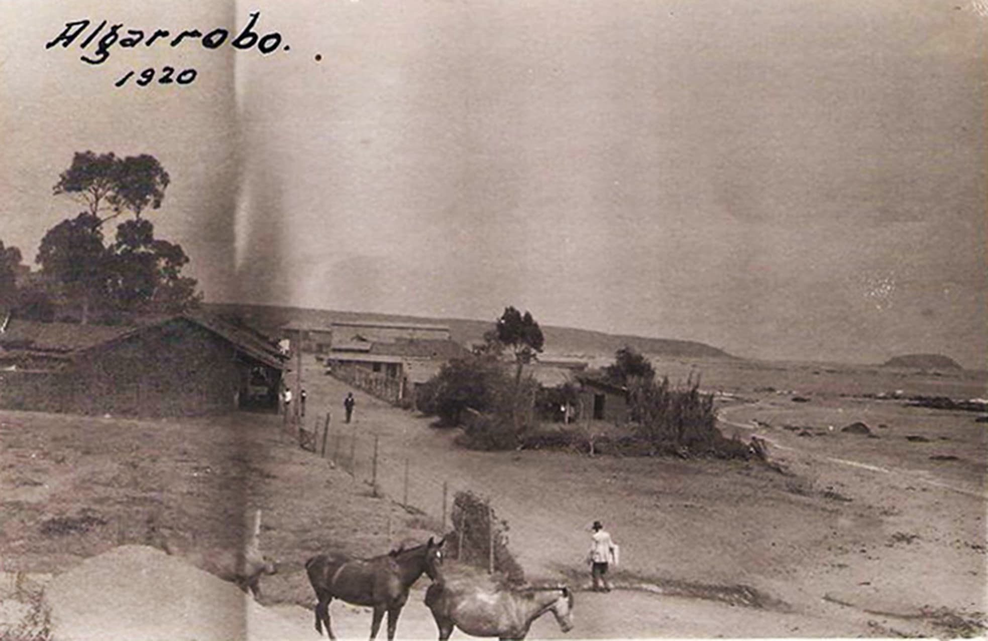 Algarrobo en 1920