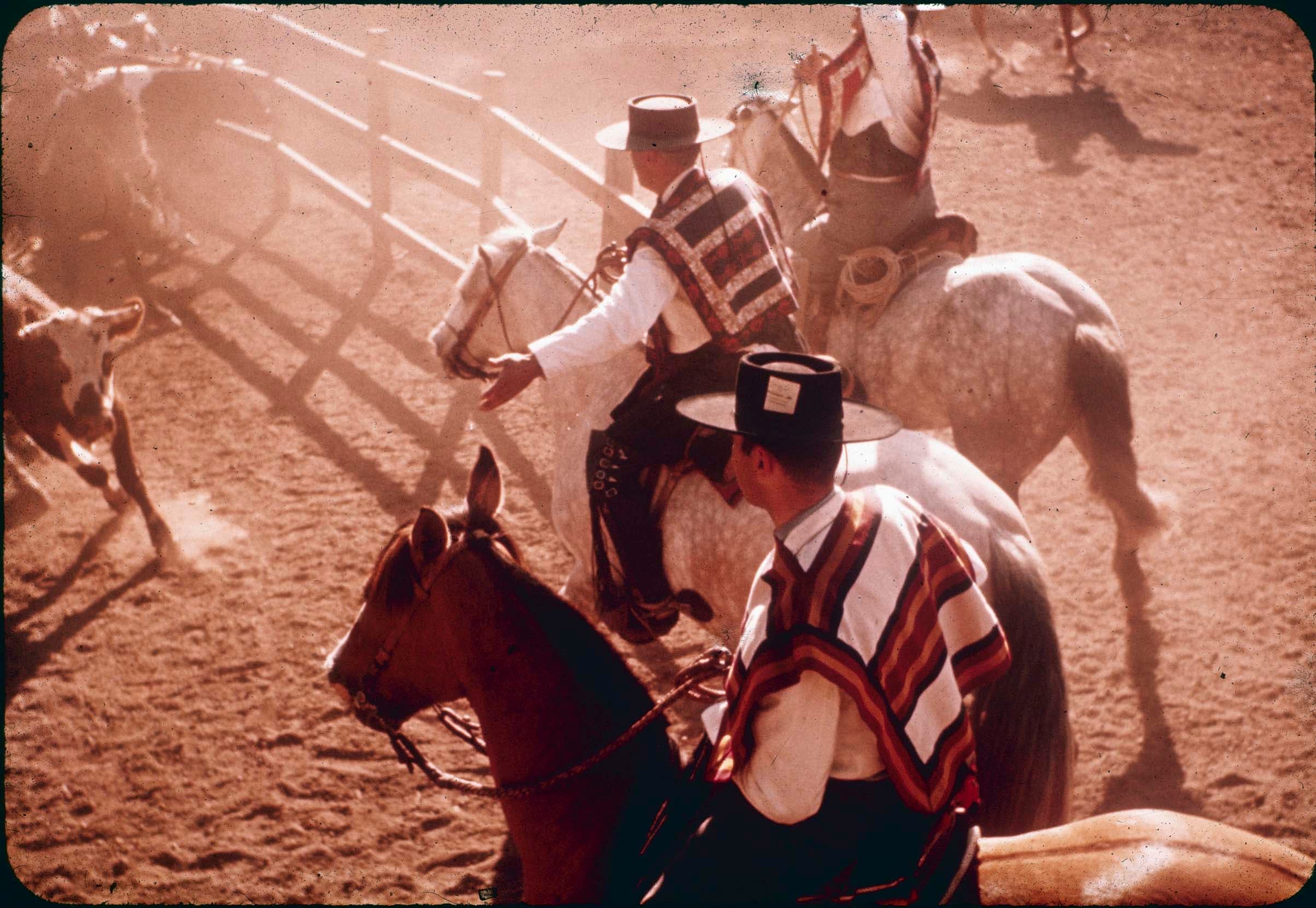 Huasos en rodeo de Curicó