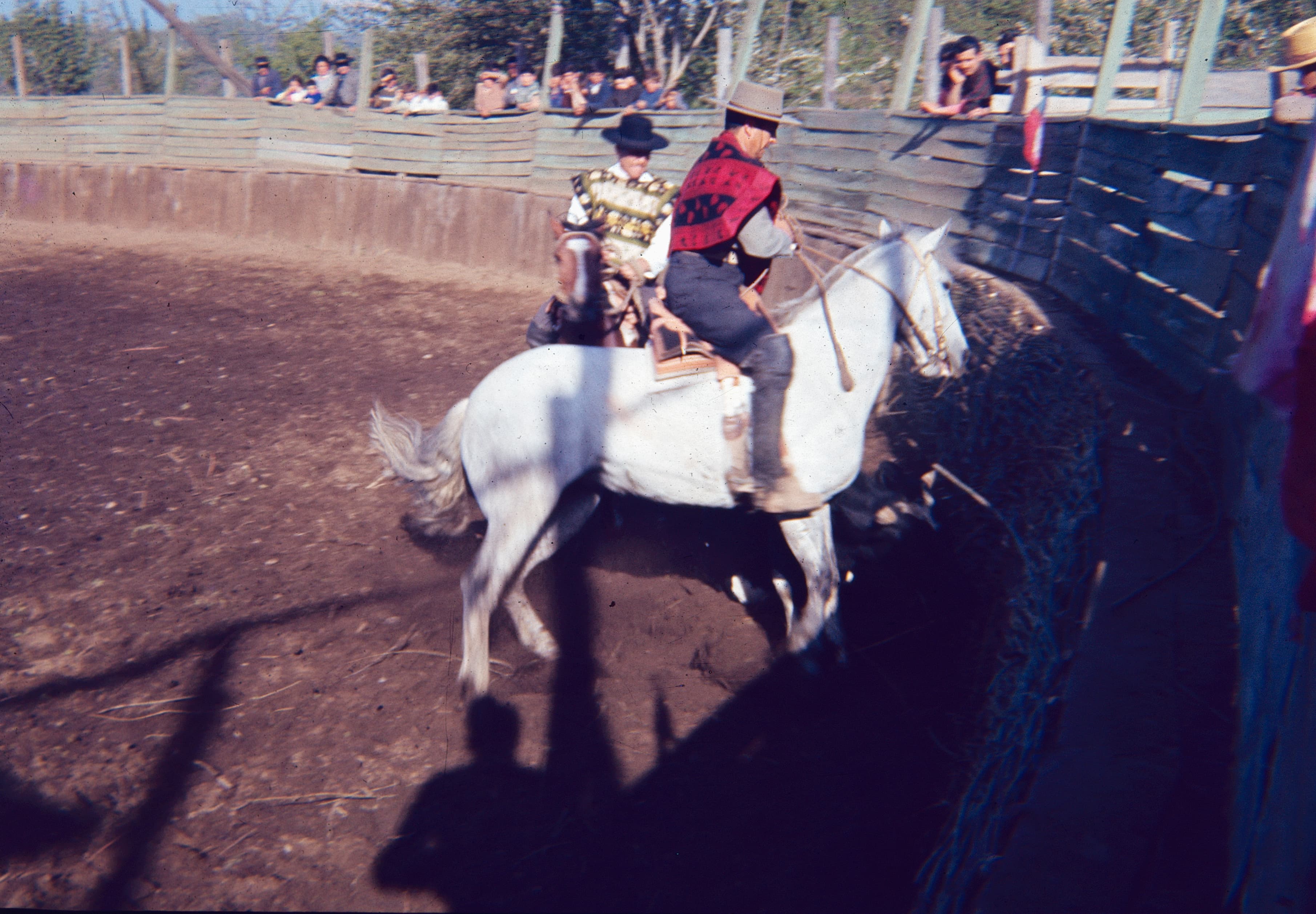 Rodeo en Curicó en los años 60