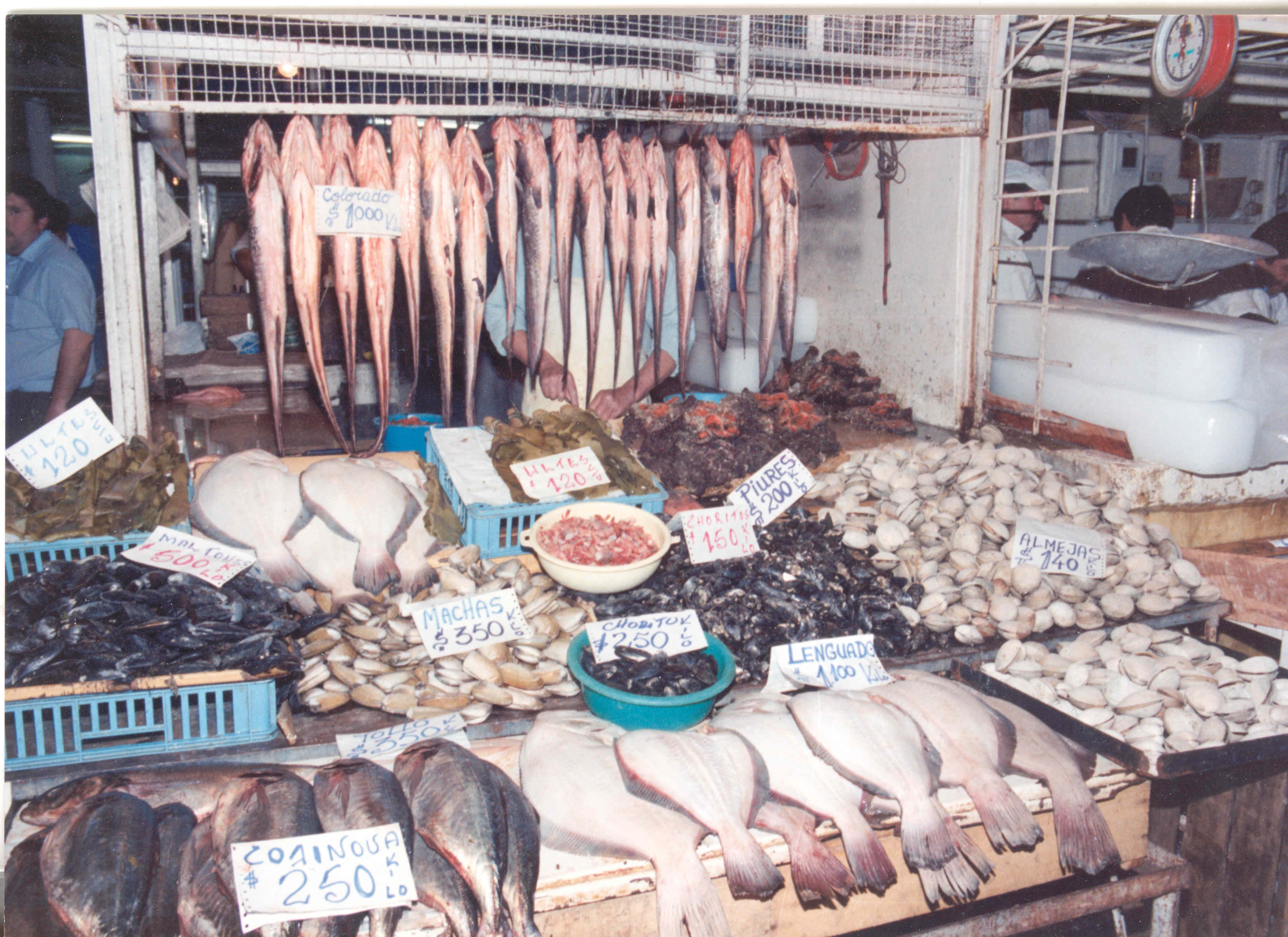 Mercado Central de Chile en 1980