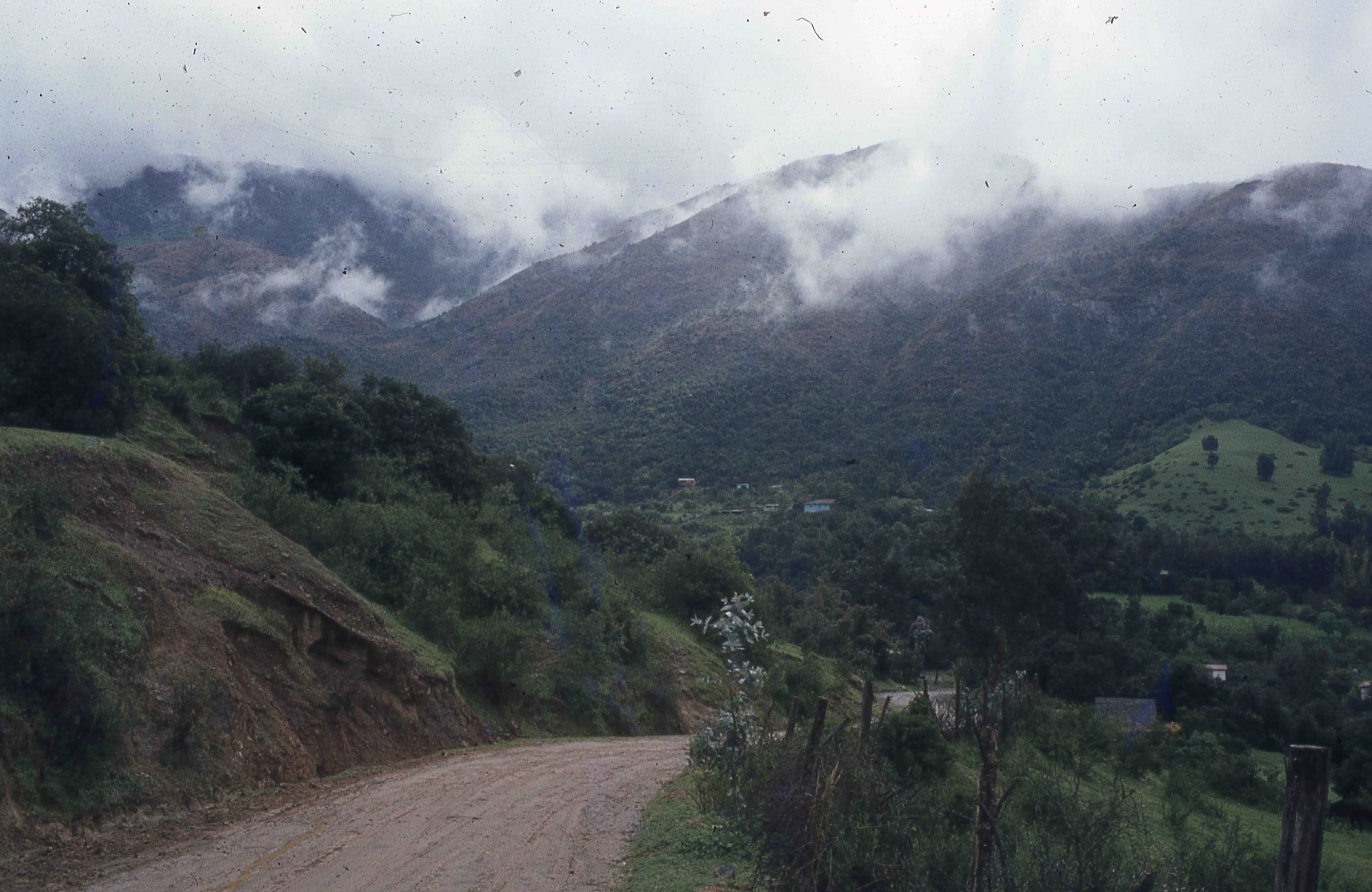 Sector Parque Nacional la Campana en los 70s