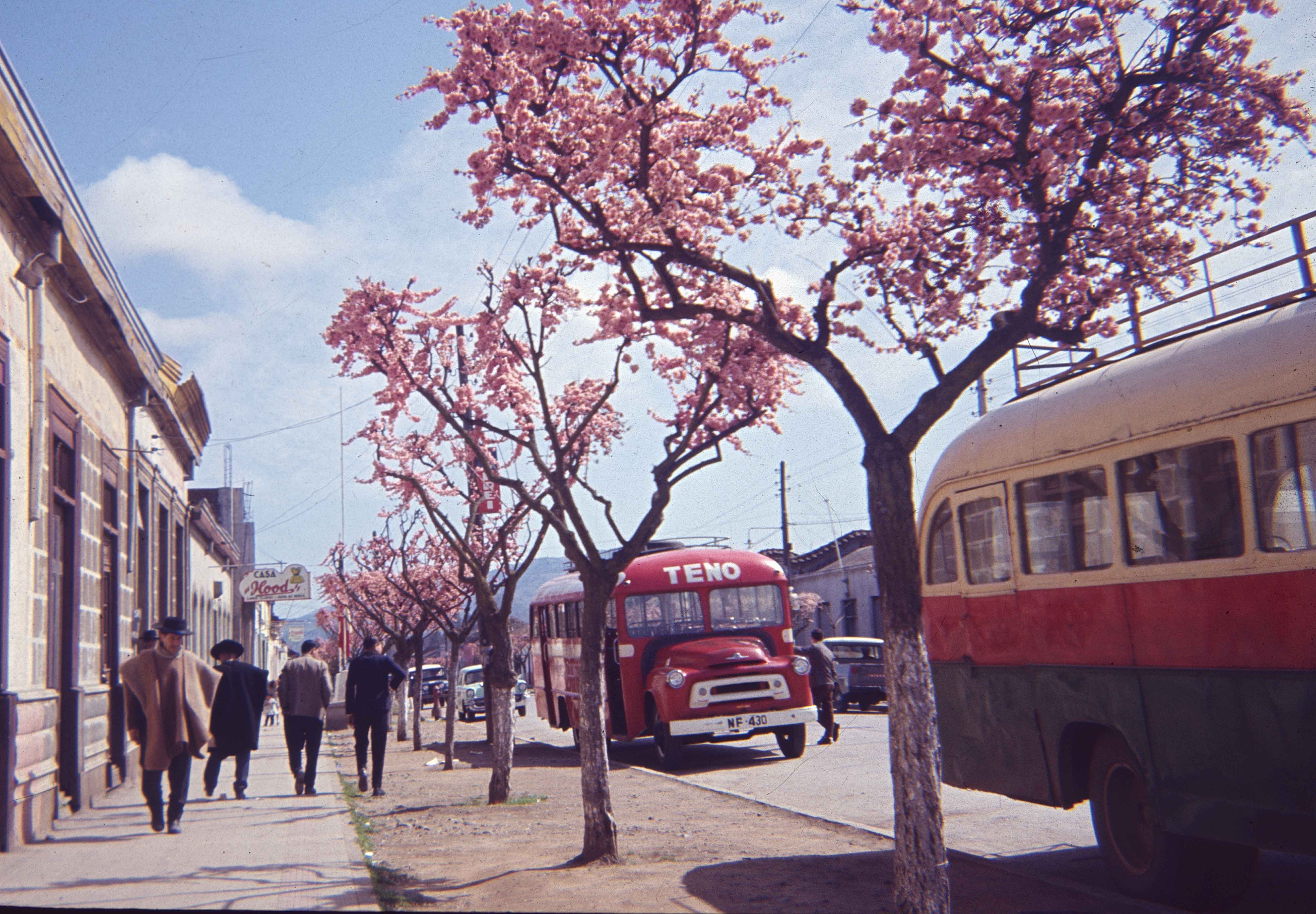 Transporte público de Teno en los años 60