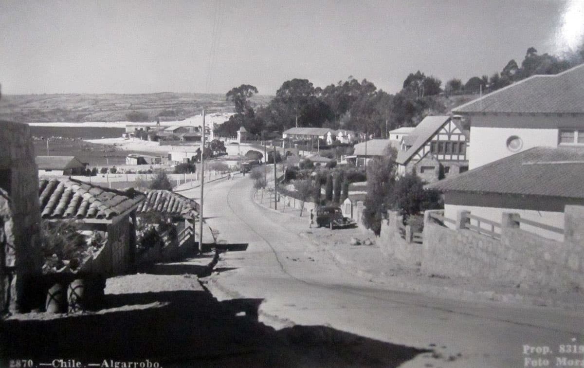 Algarrobo en 1950