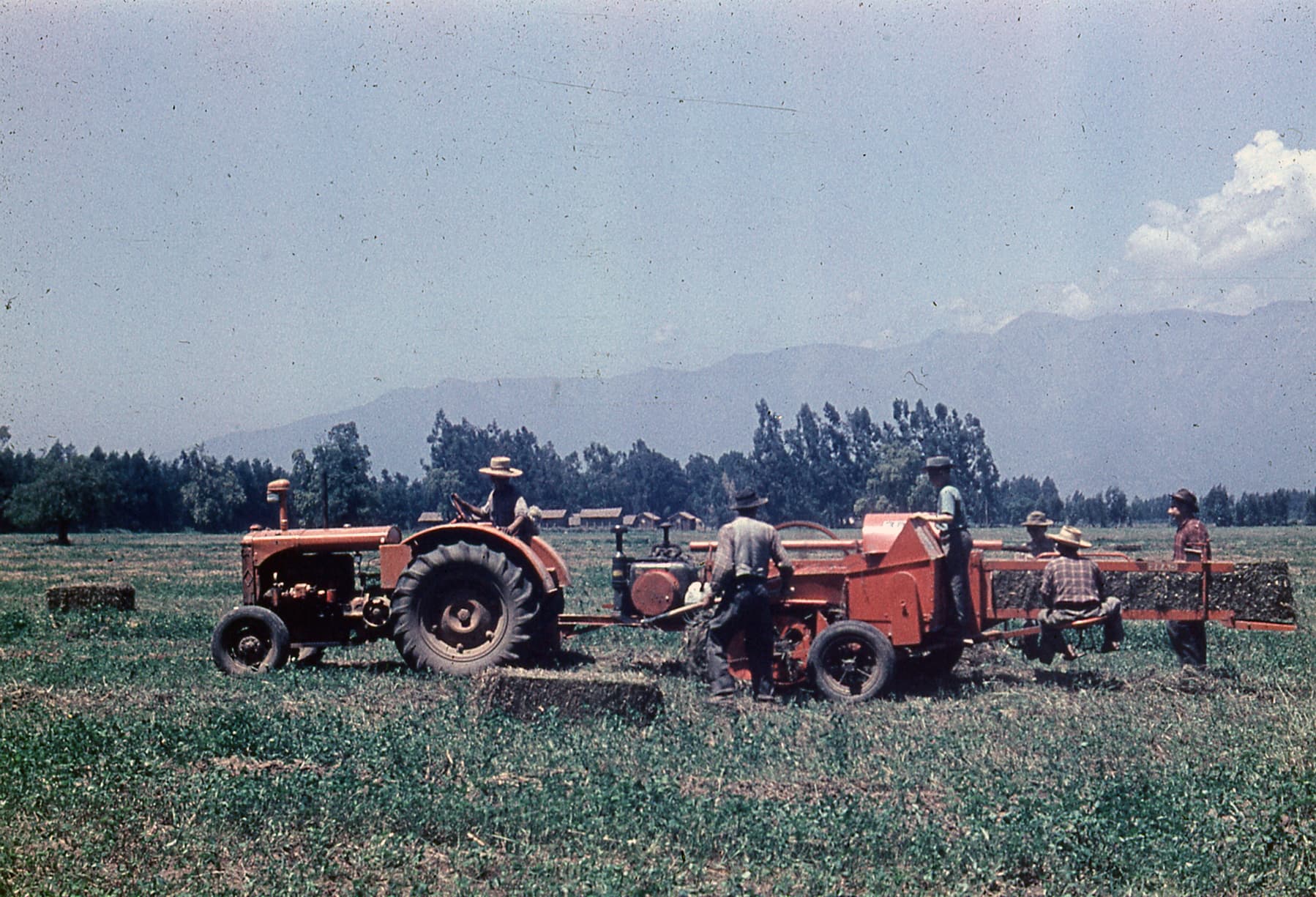 Tractores en el Fundo La punta, 1953