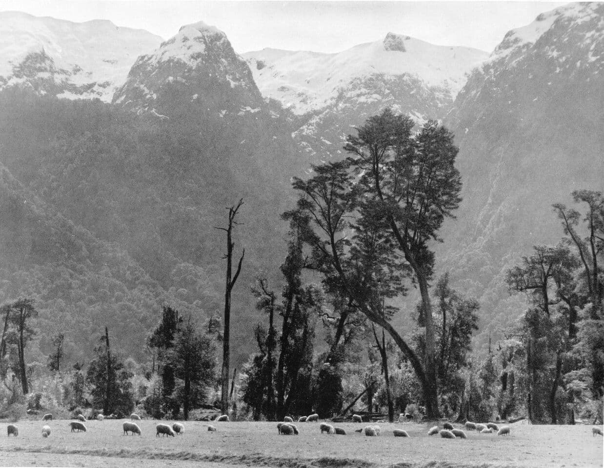 Peulla, 1959