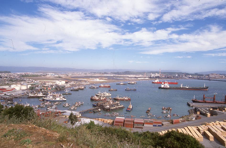 Puerto San Vicente, 1995