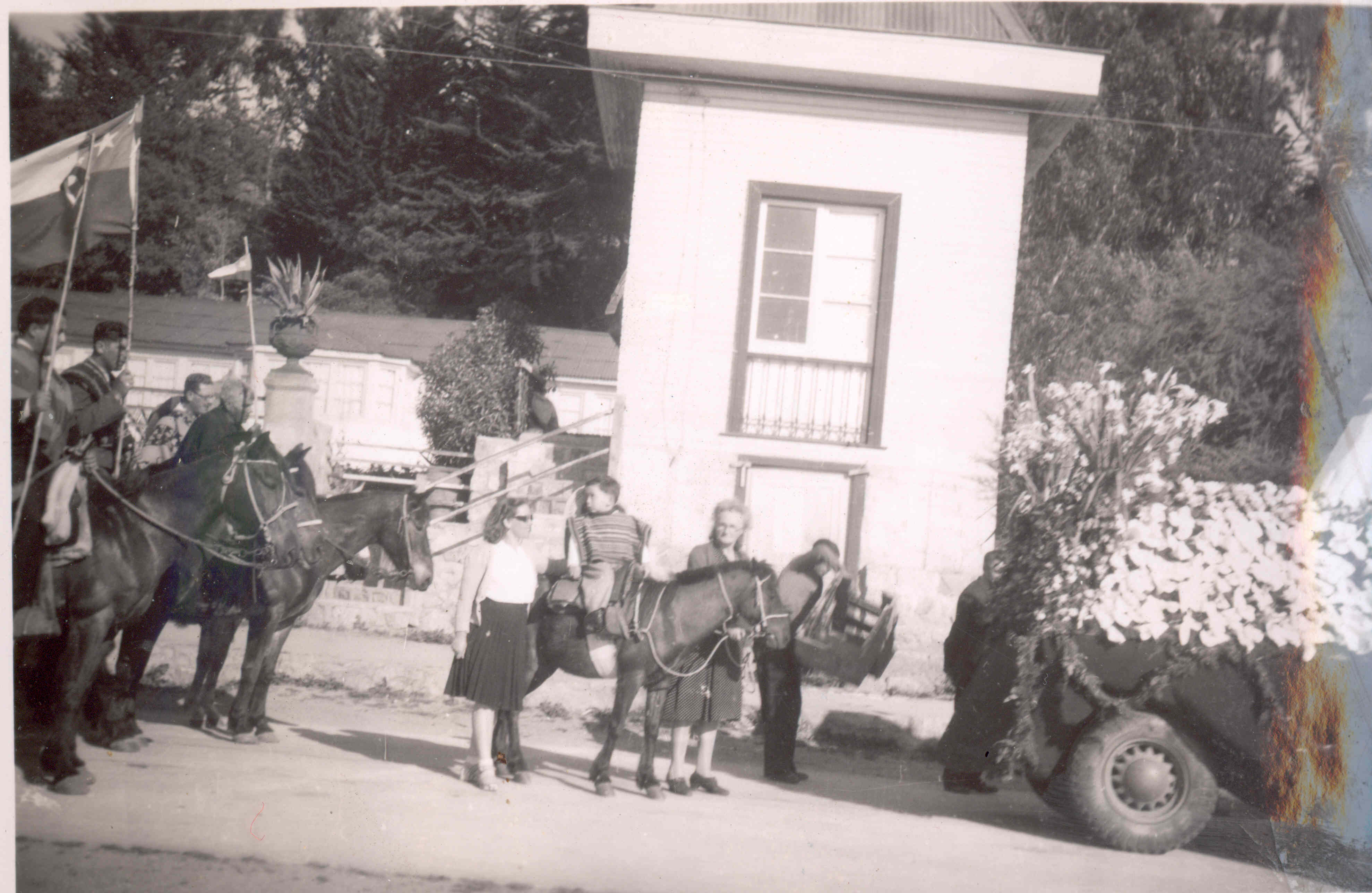 Algarrobo 1950
