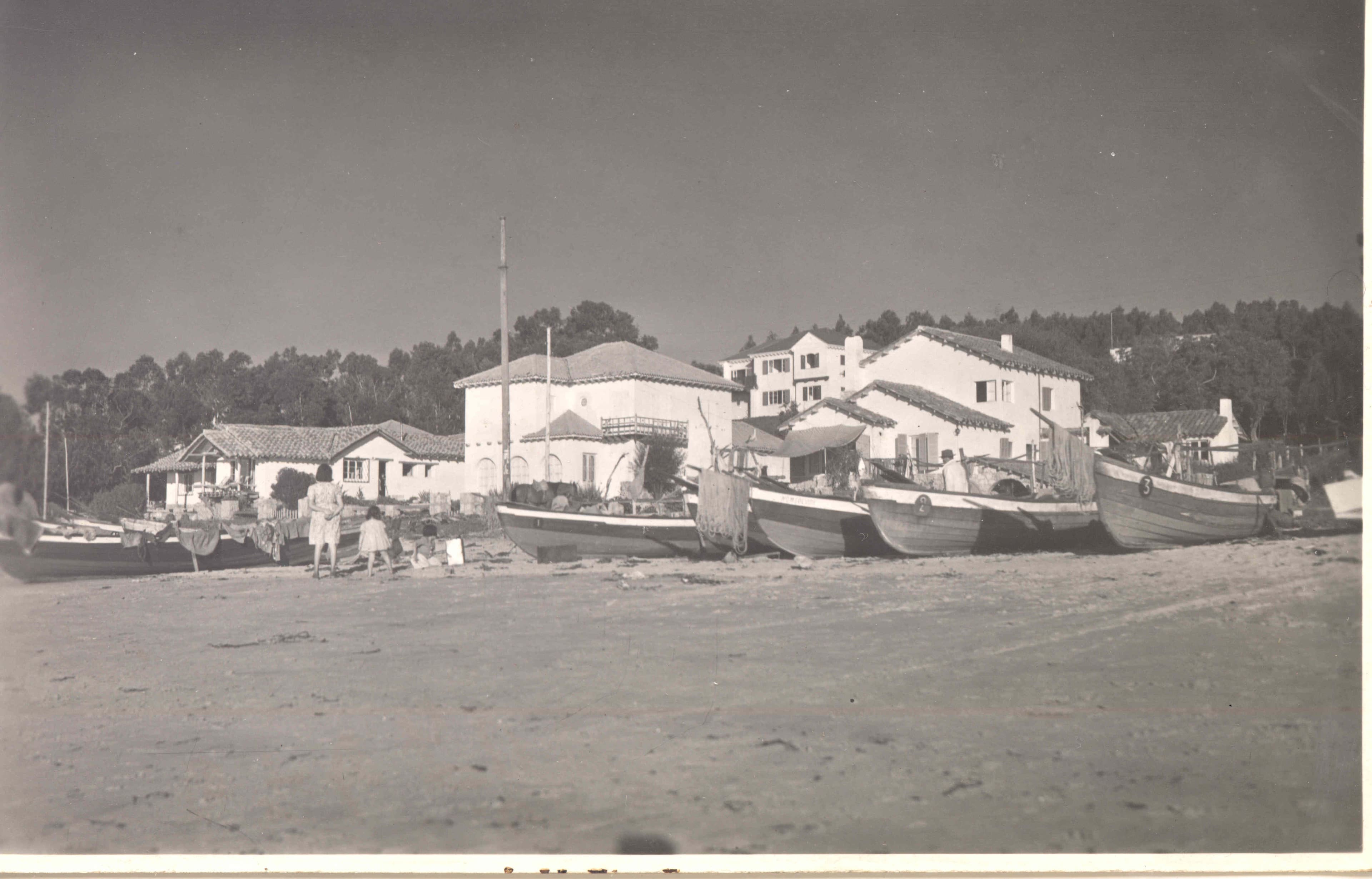Algarrobo 1950