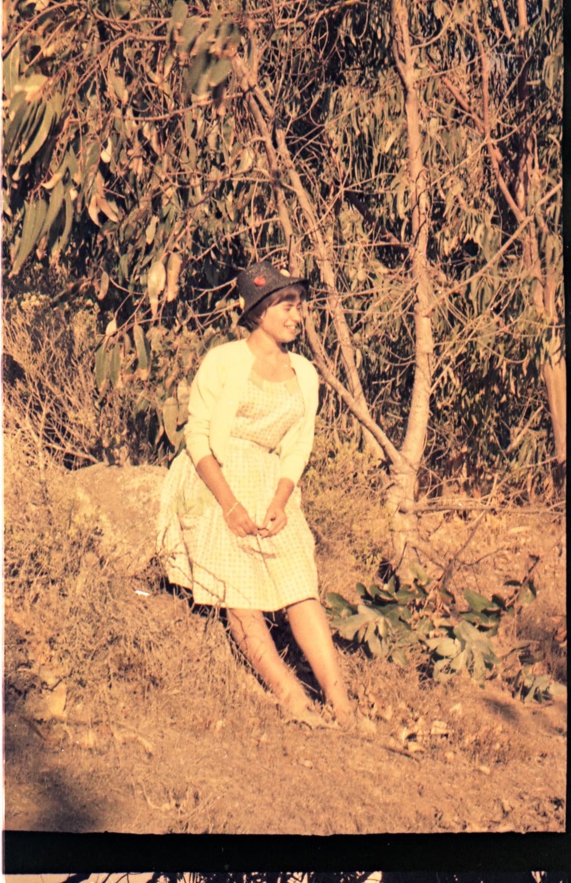 El Arrayán en 1961