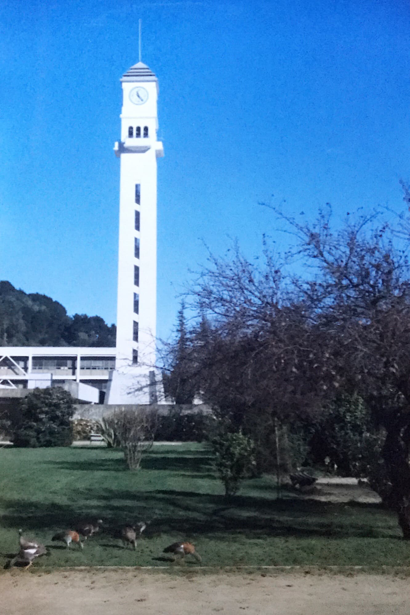 Campanario UDEC en 1982