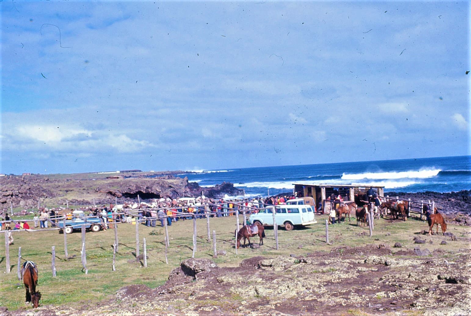 Feria de animales Rapa Nui 1973