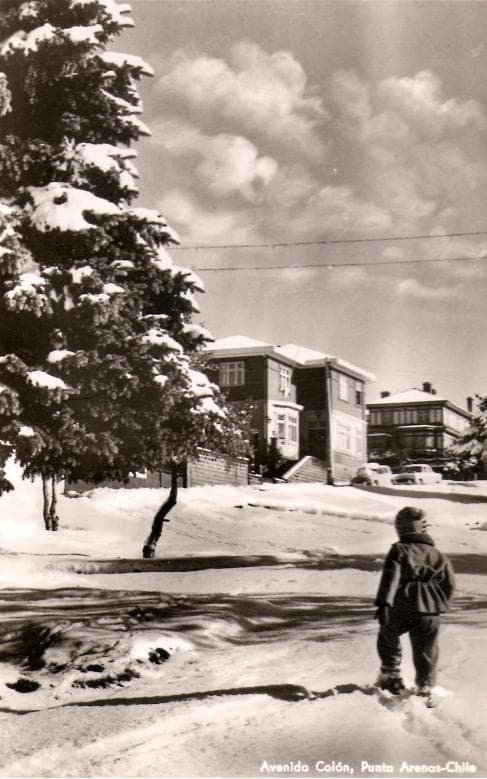 Av. Colón de Pta. Arenas en 1965