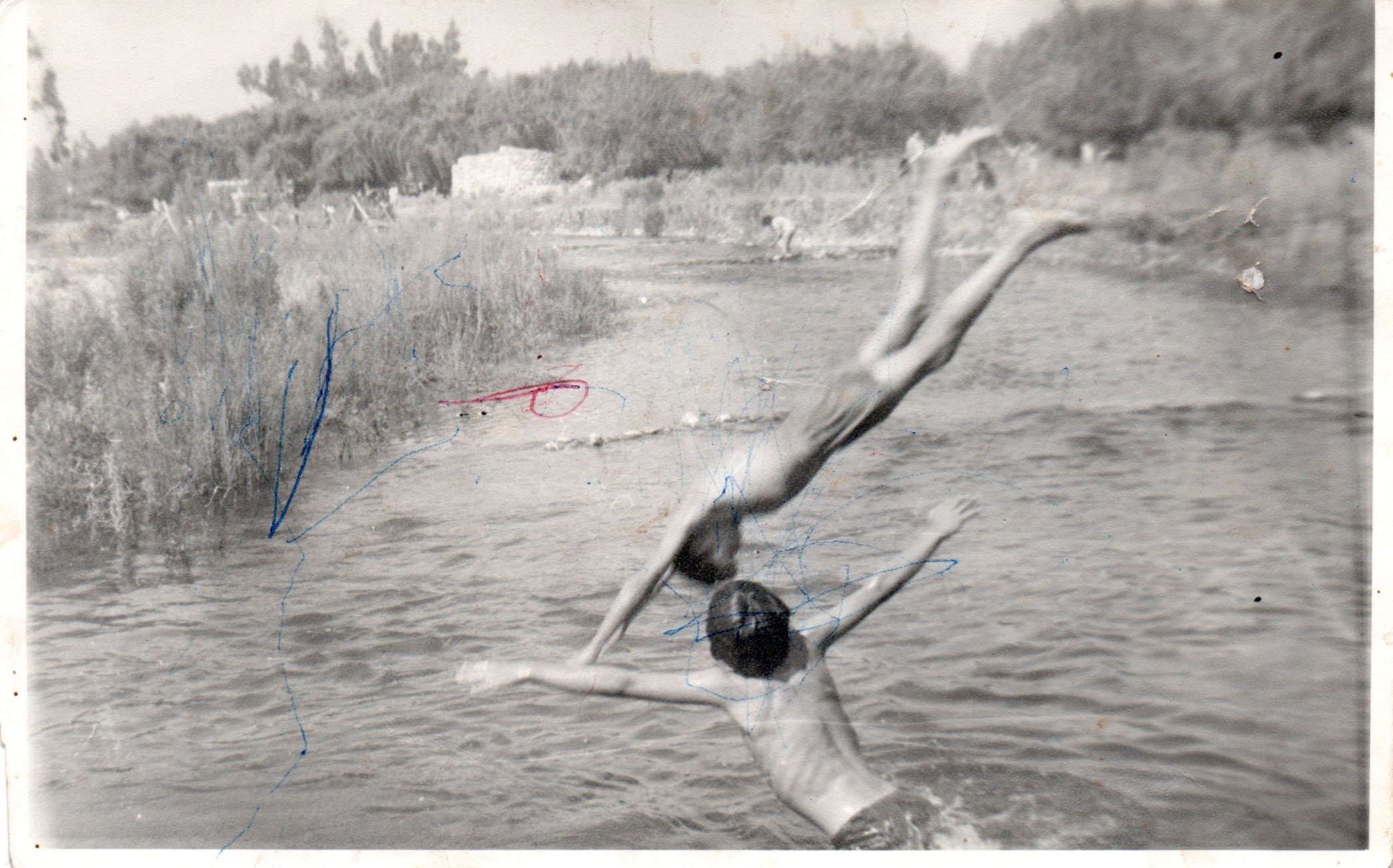 Manantiales de Panquehue en 1960