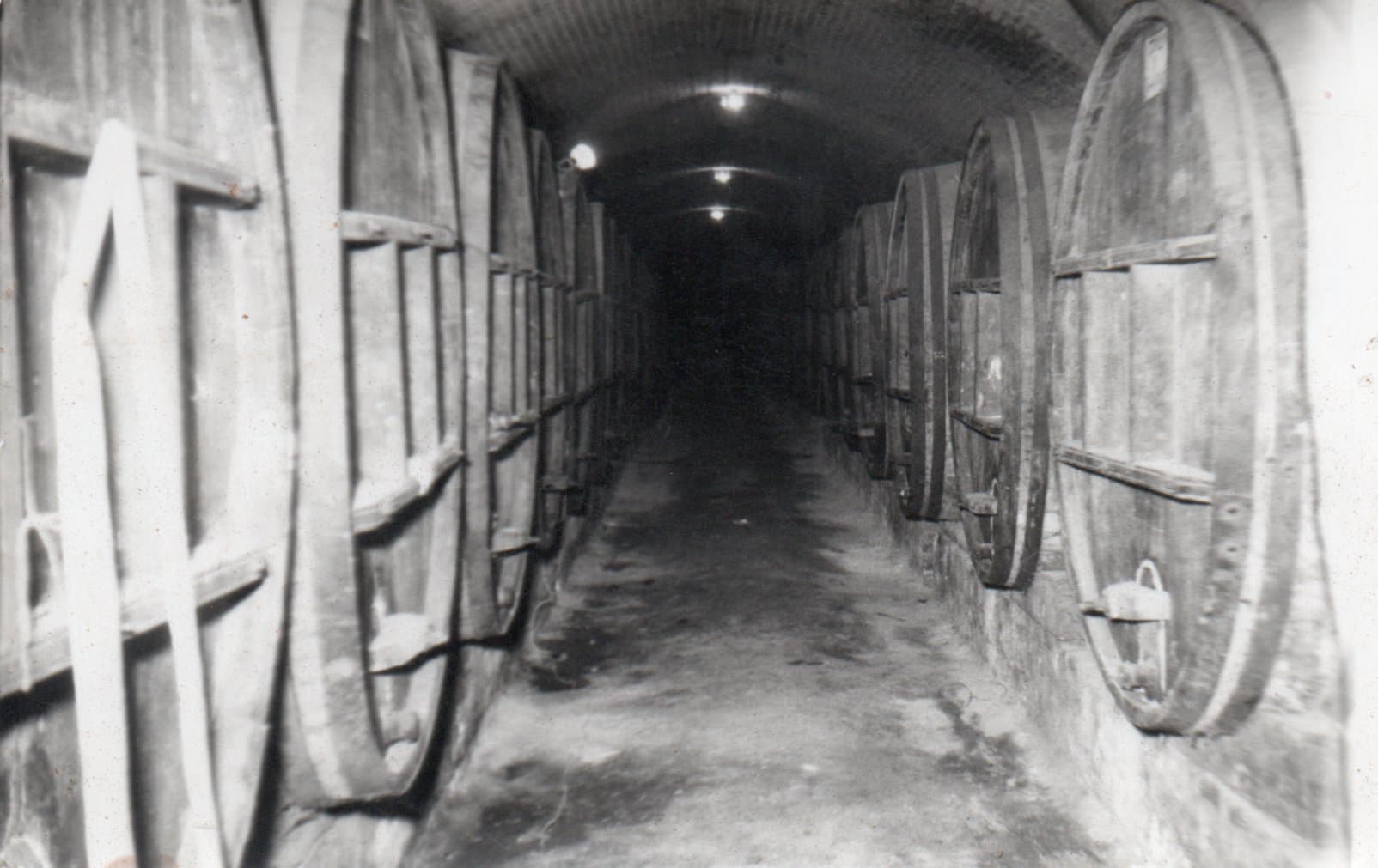 Viña Errazuriz en 1940