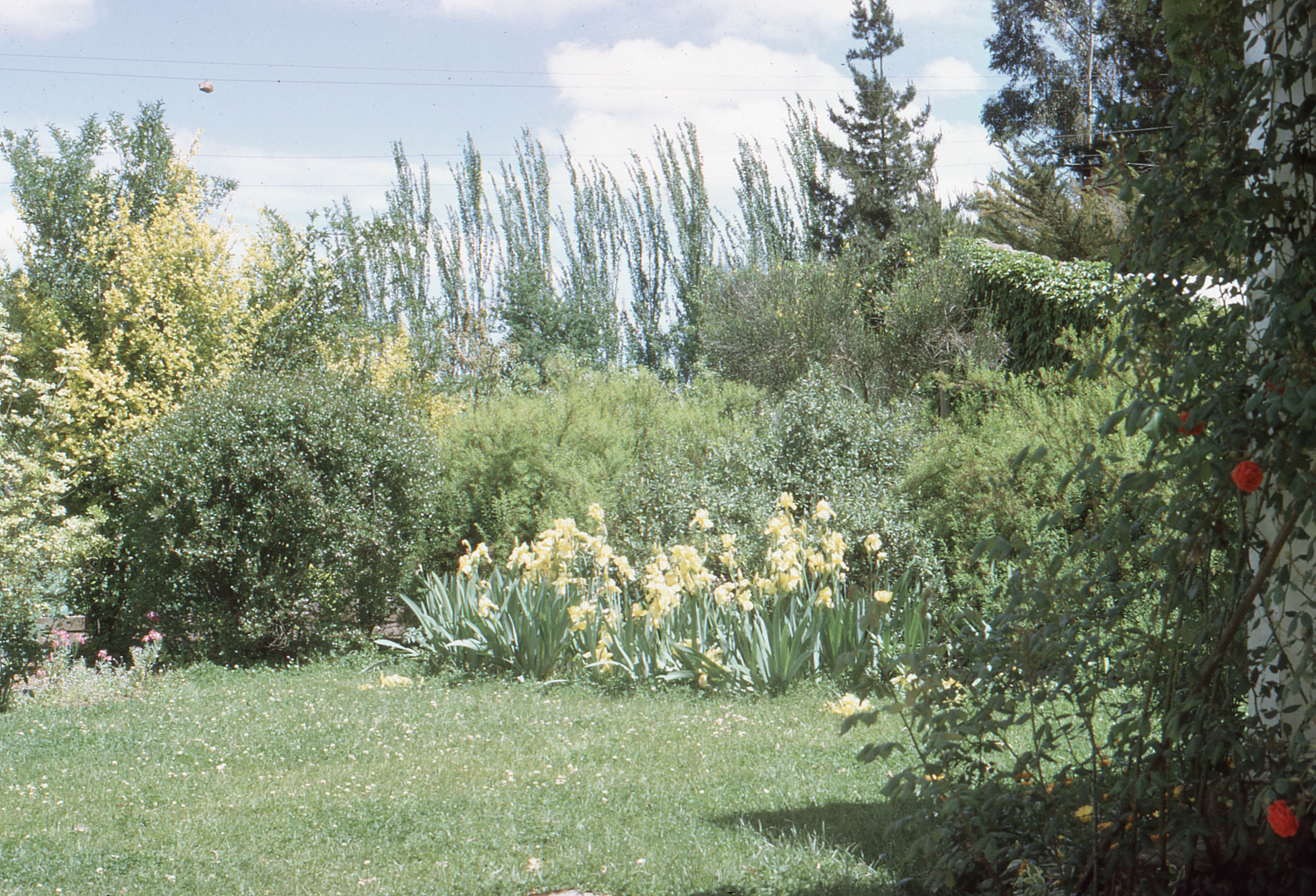 Jardín en 1966