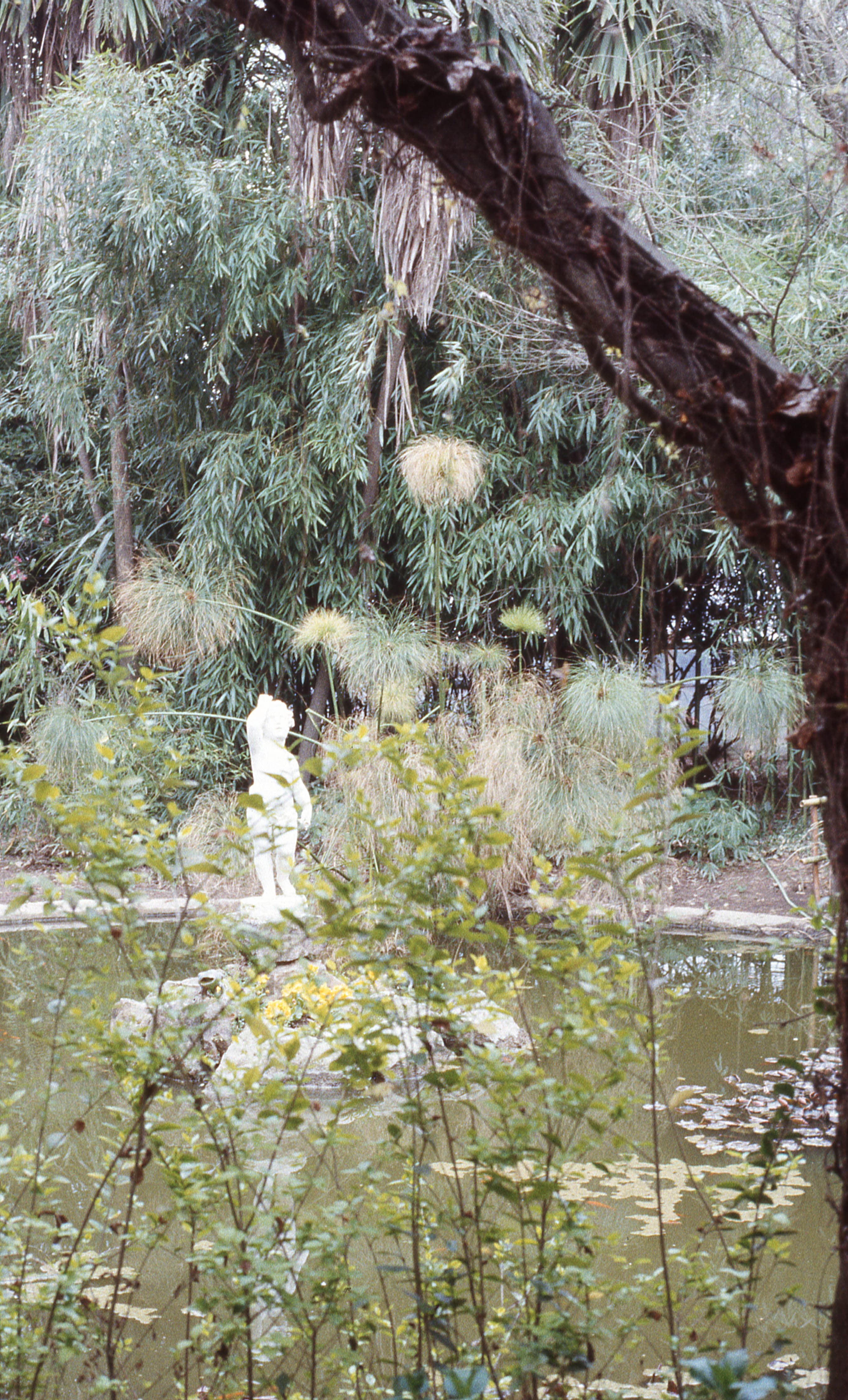 Parque Hacienda Graneros, 1983