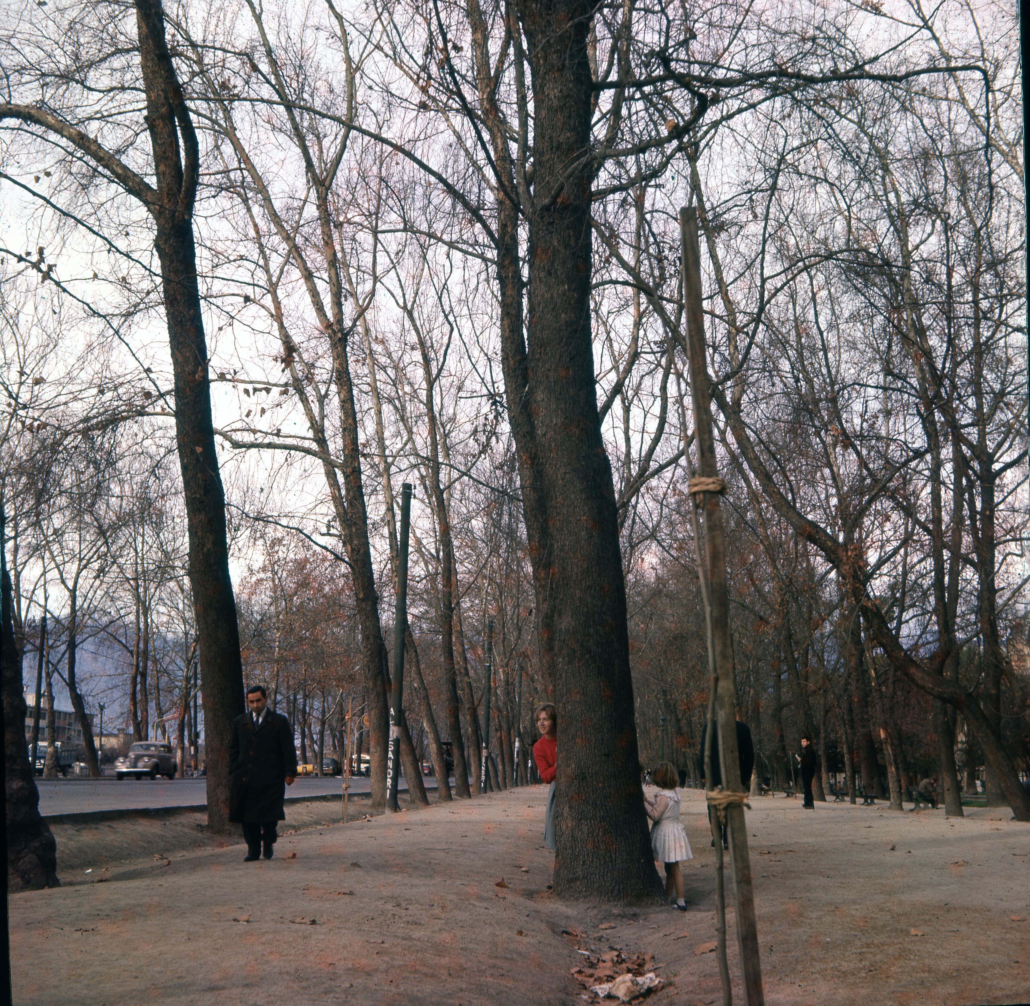 Parque Forestal de Santiago, 1960