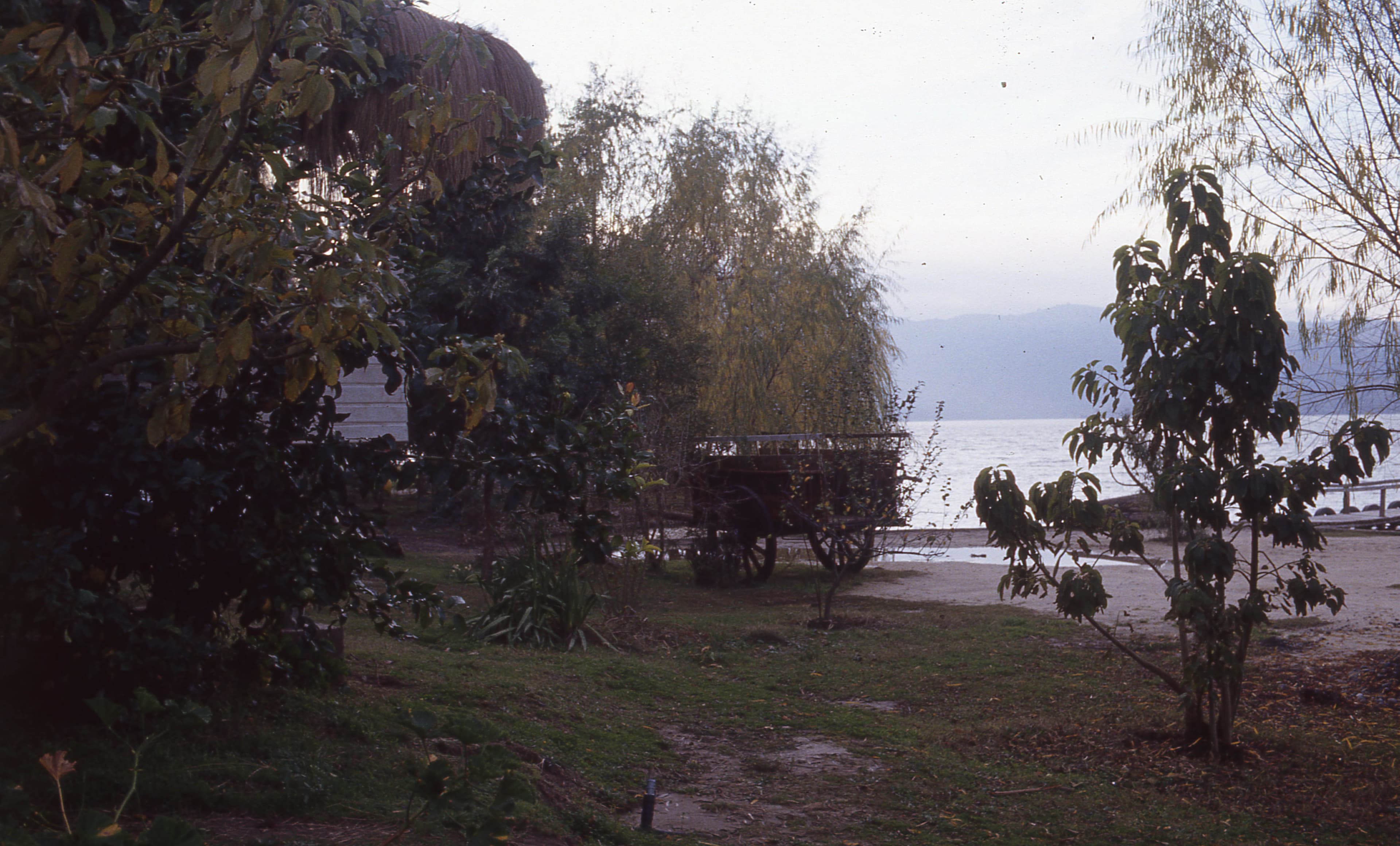 Camping Los Sauces en Rapel, 1983