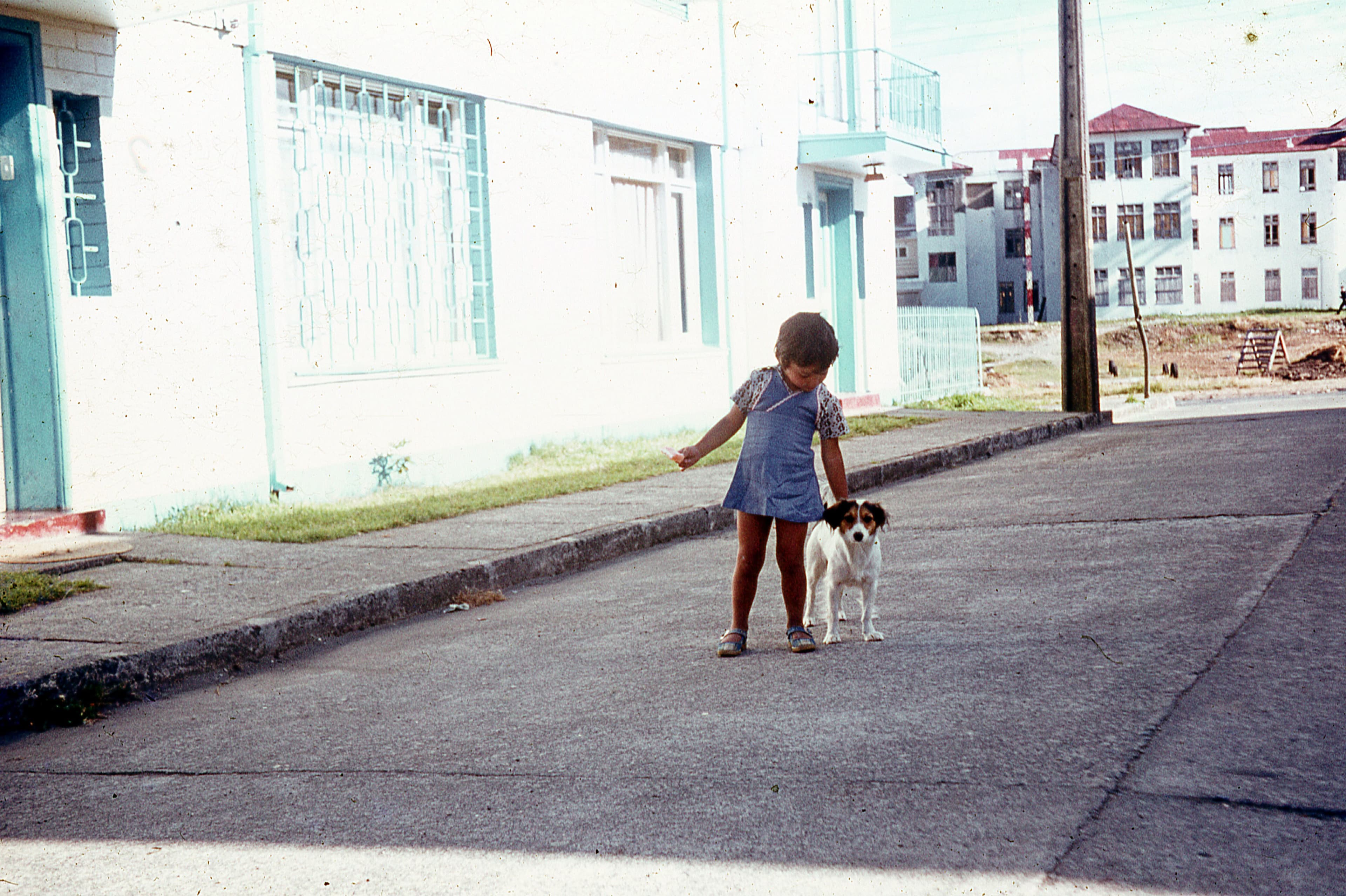 Niña y perro en Puerto Montt, ca. 1977