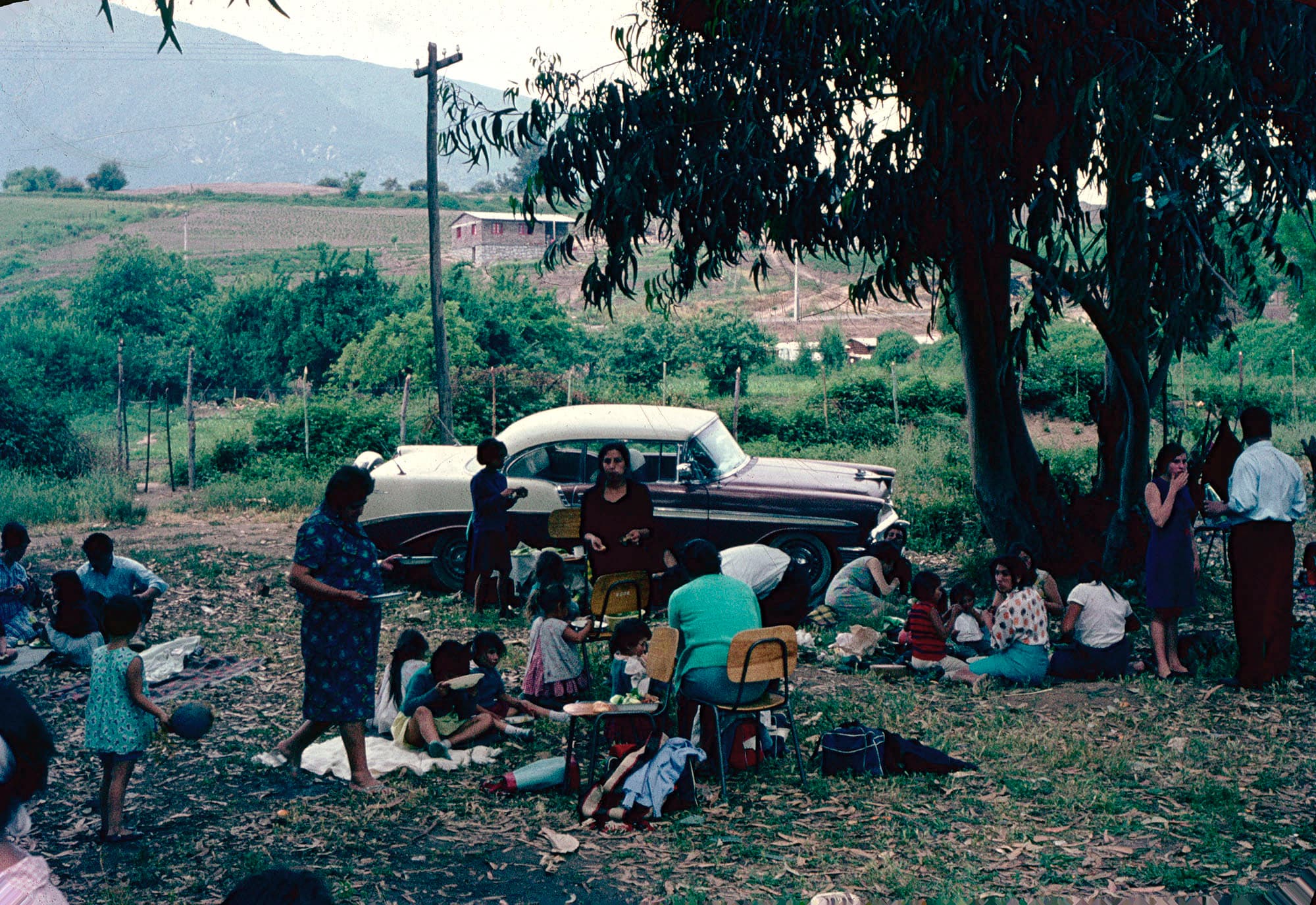 Picnic en el campo, ca. 1964