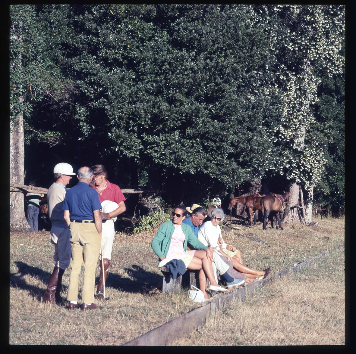 Juego de polo, Flor del Lago, Villarrica, Región de la Araucanía, Chile, 1950 - 1965