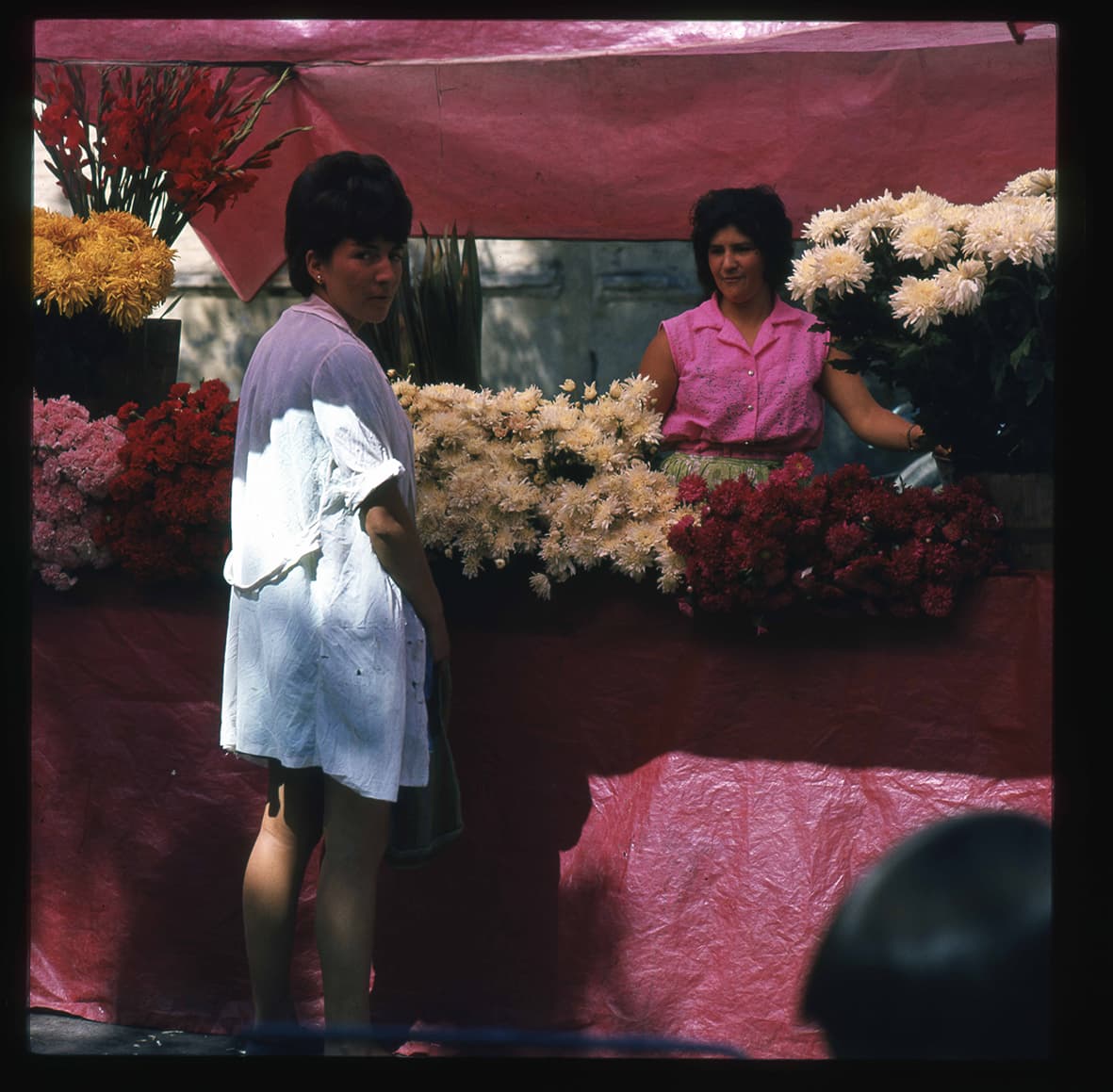 Puesto de flores, Recoleta, Región Metropolitana, Chile, 1950 - 1965