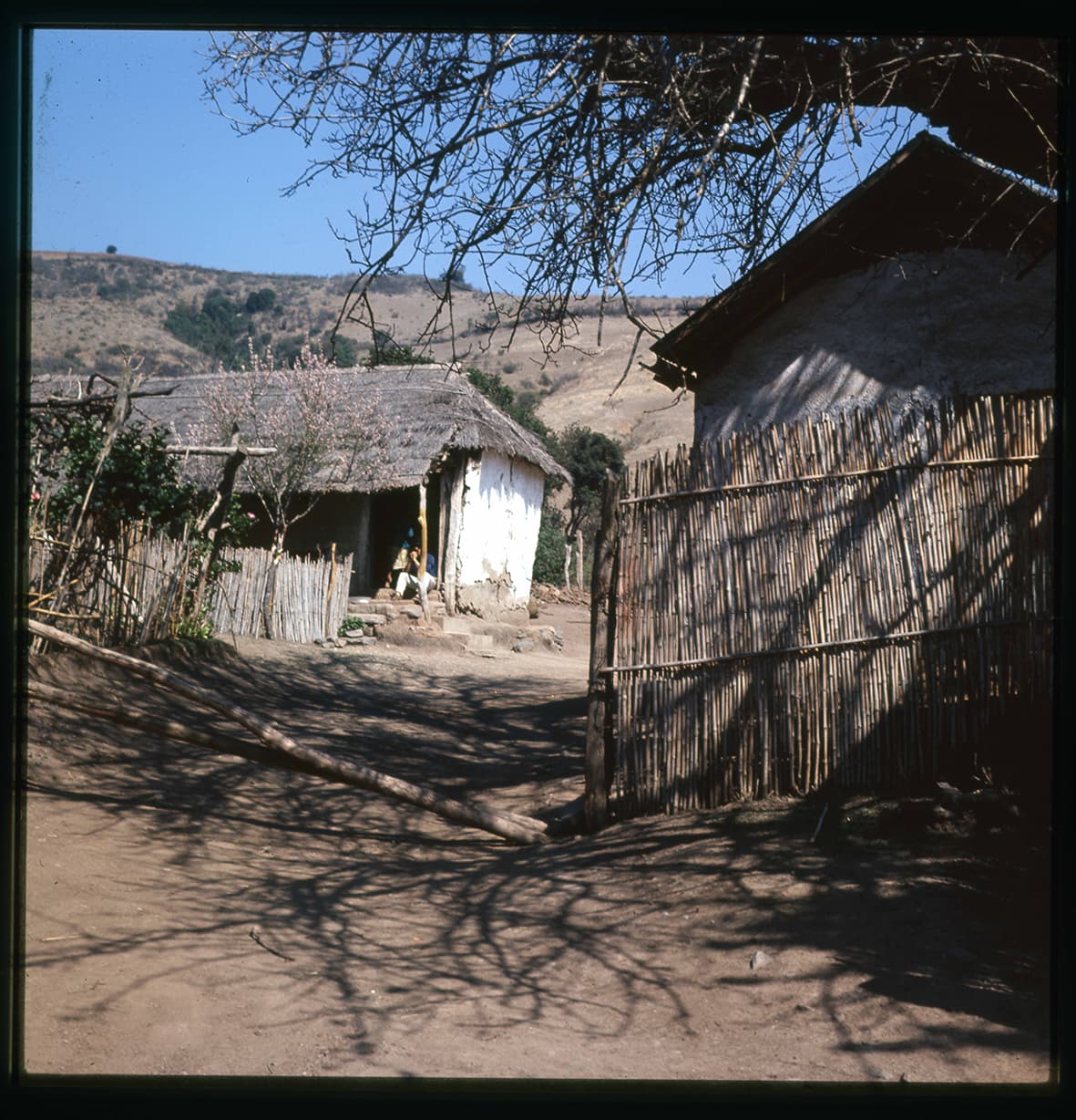Casas rurales, Canela, Región de Coquimbo, Chile, 1950 - 1965