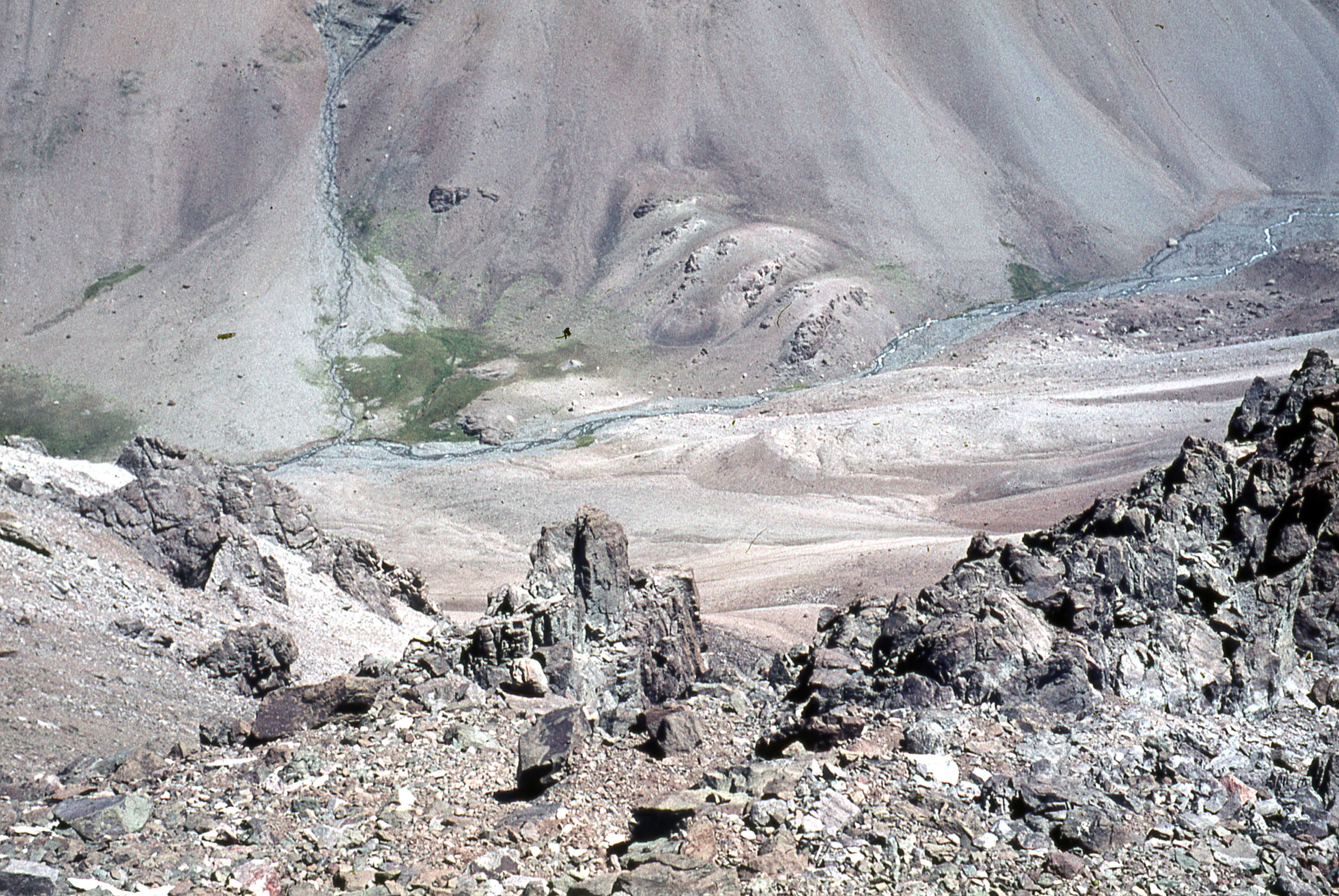 Paseo a La Paloma; Bosque Petrificado, 1978