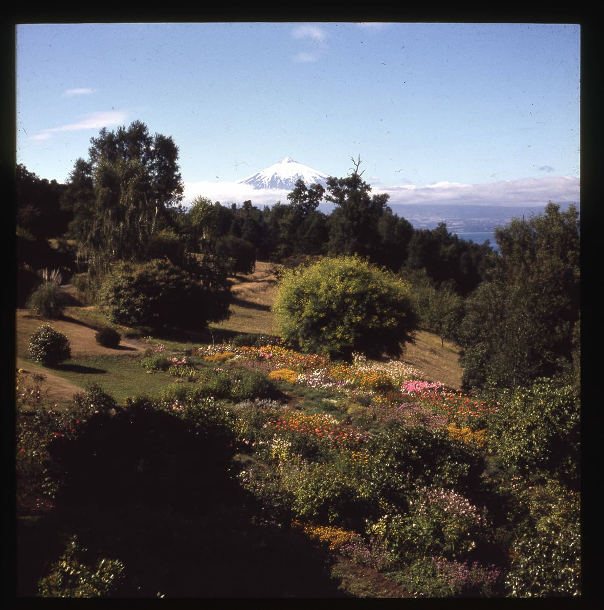 Jardín florido y Volcán Villarrica, Villarrica, Región de la Araucanía, Chile, 1950 - 1965