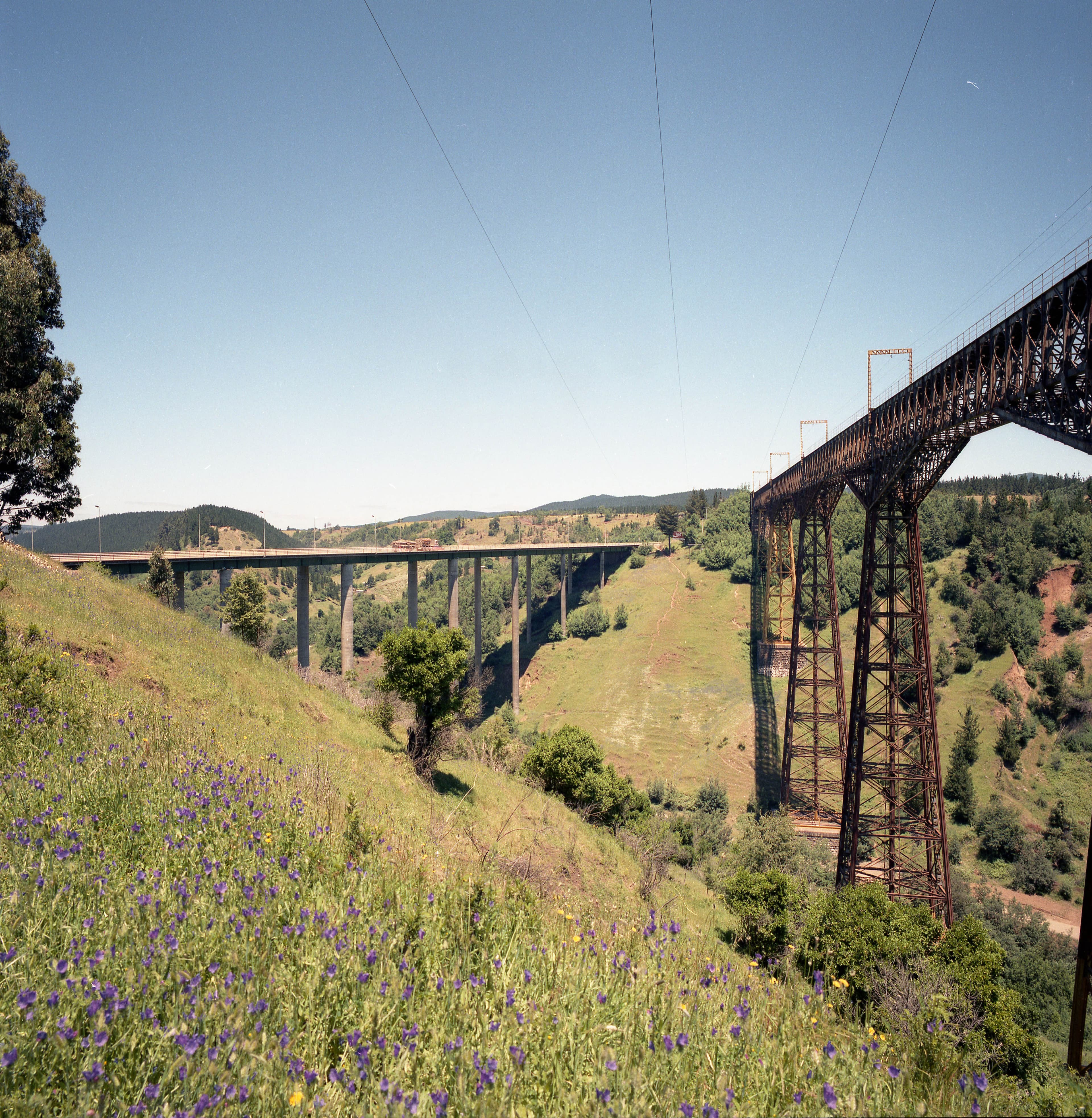 Puentes sobre el río Malleco