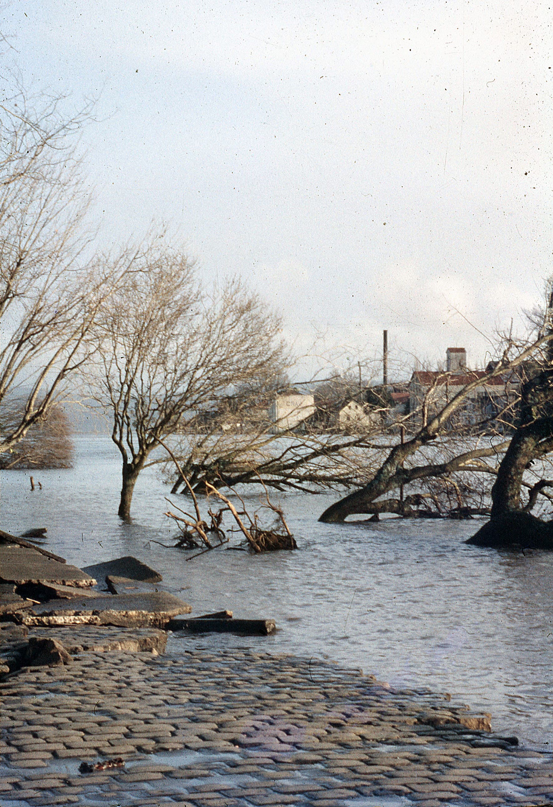 Daños del Terremoto, Valdivia, 1960