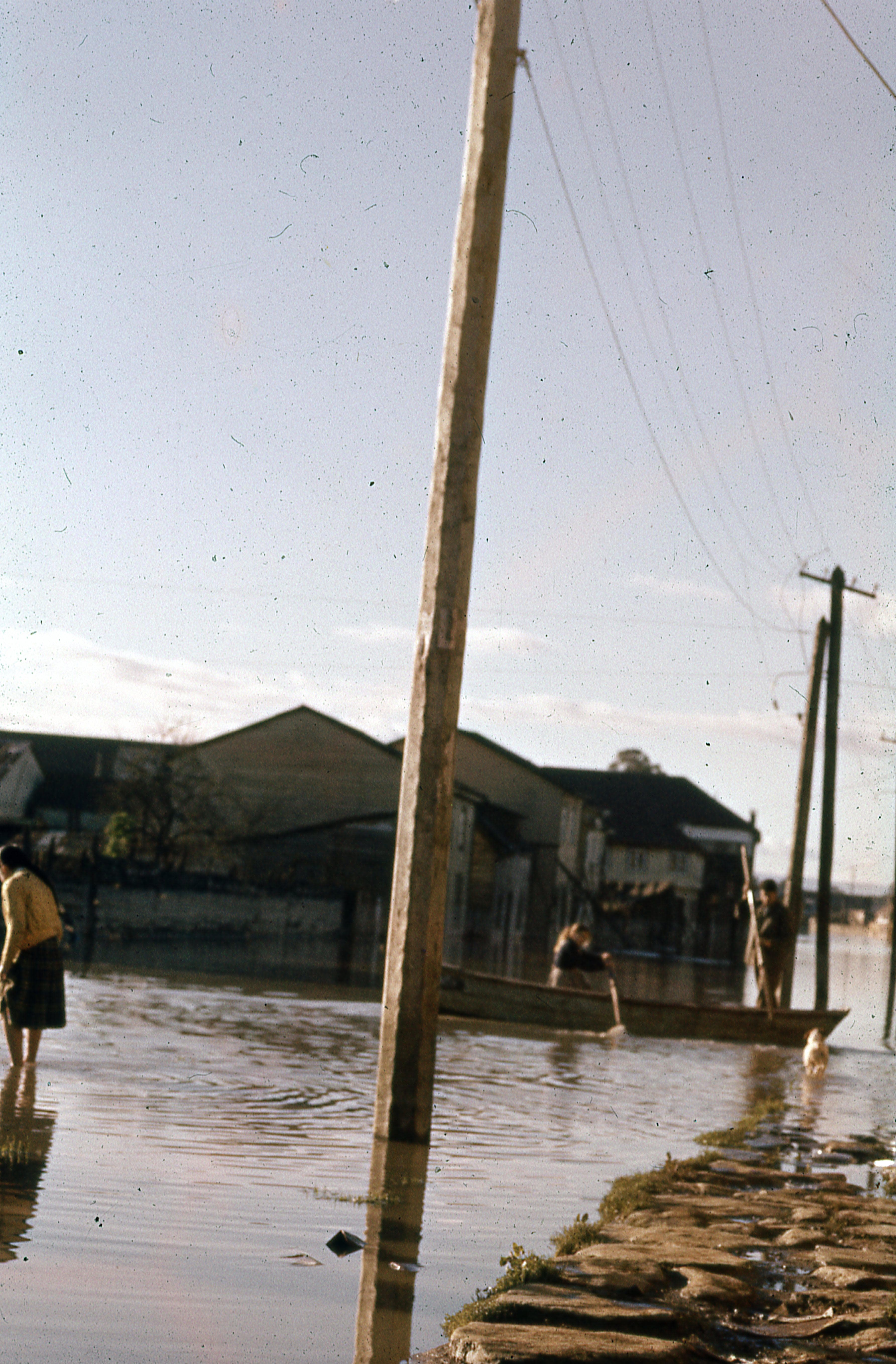 Daños del Terremoto, Valdivia, 1960