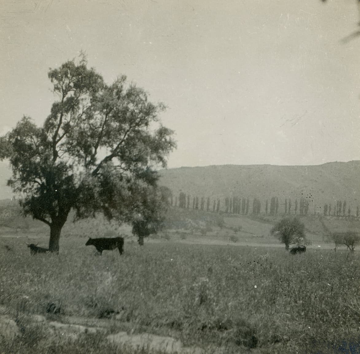 Cercanías de San Felipe ca. 1915