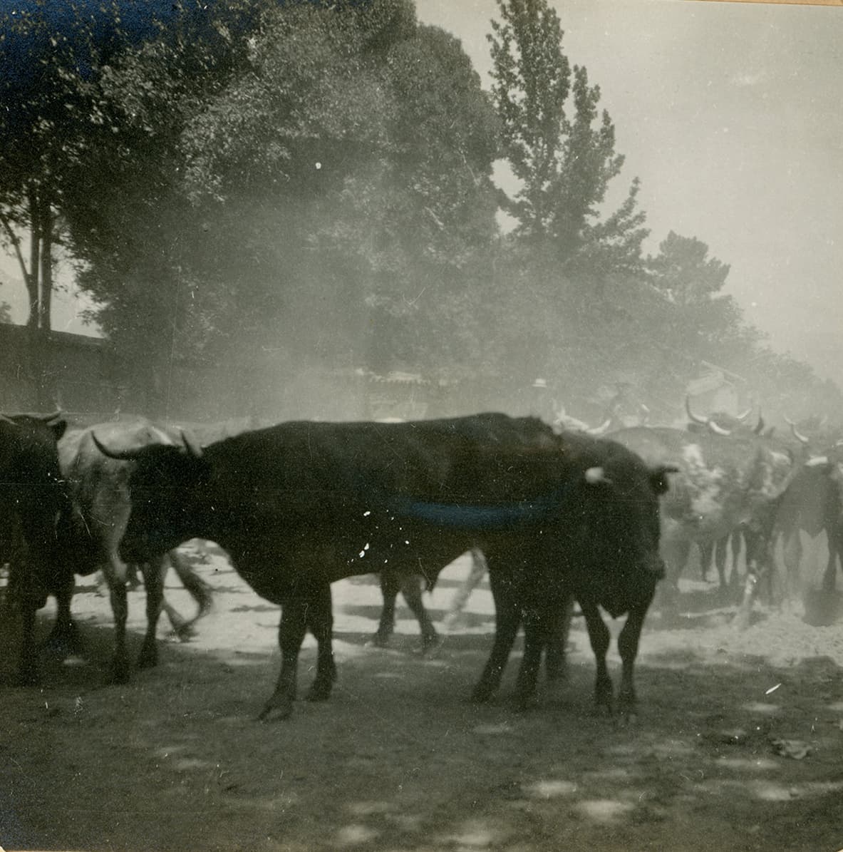 Cercanías de San Felipe ca. 1915