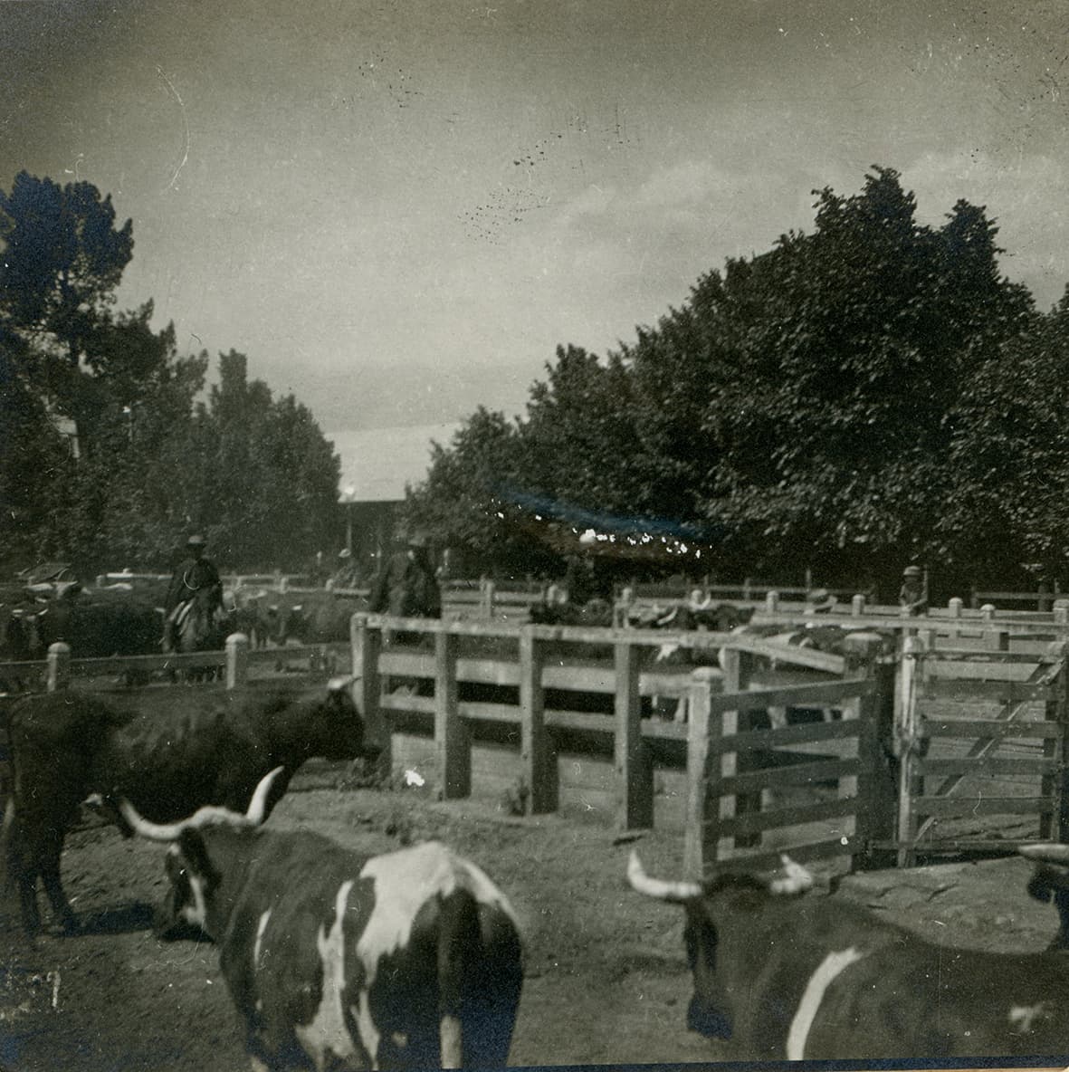 Cercanías de San Felipe ca. 1915
