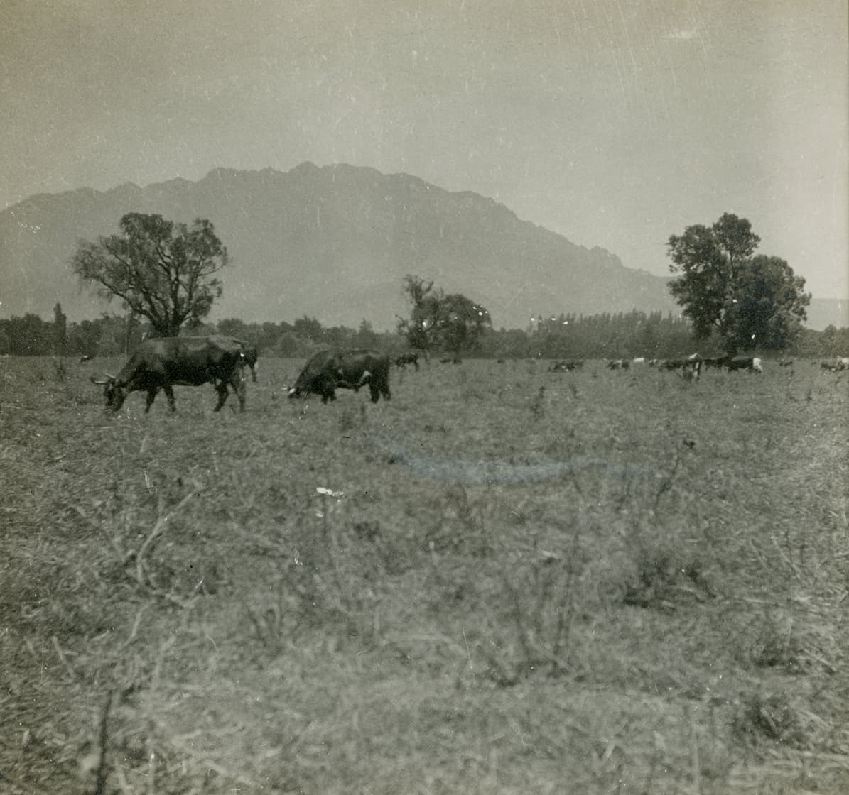 Cercanías de San Felipe ca. 1915
