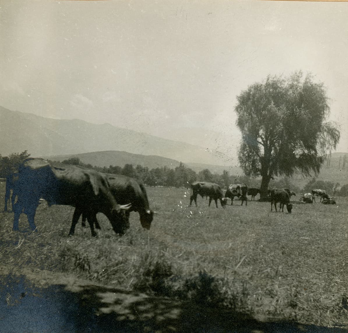 Cercanías de San Felipe ca. 1915